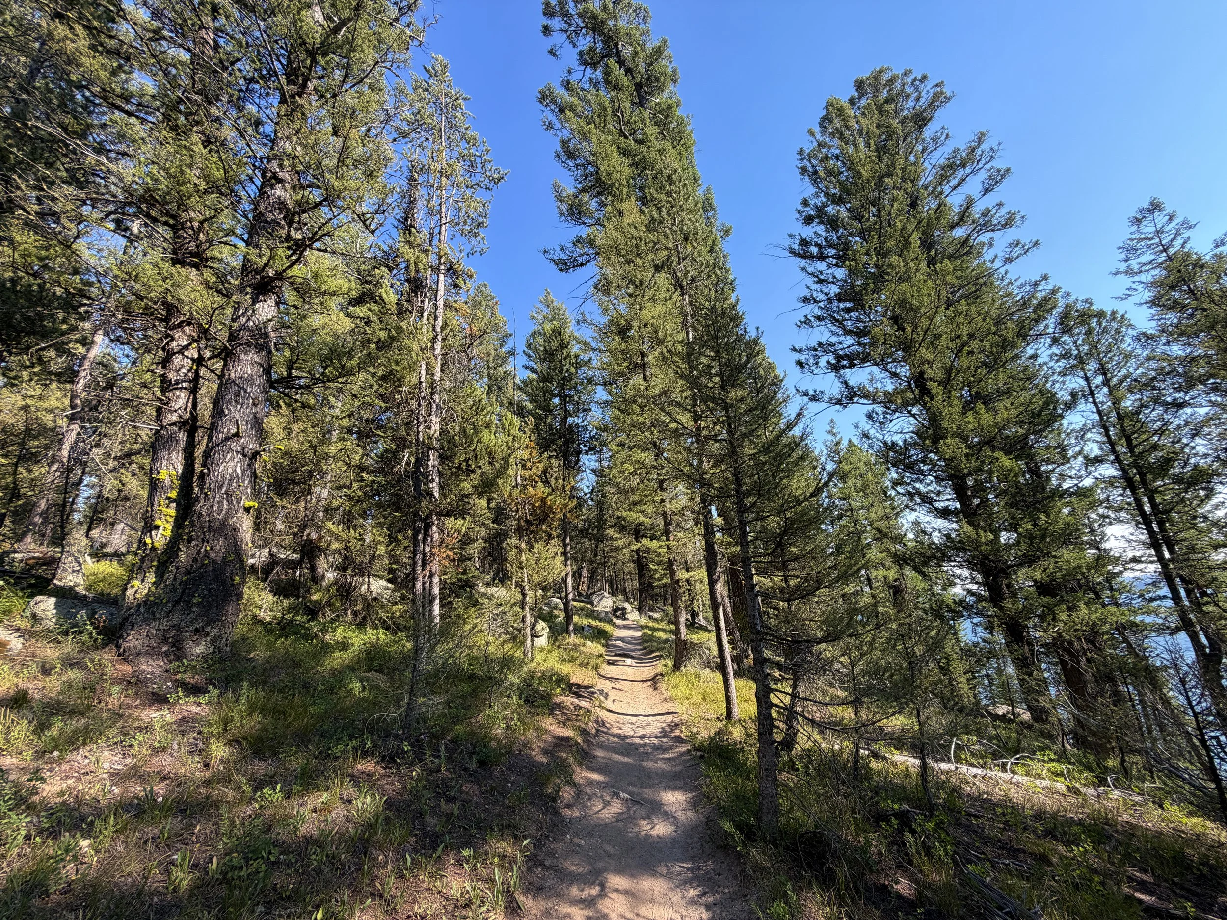 Jenny Lake Trail Grand Teton National Park Wyoming