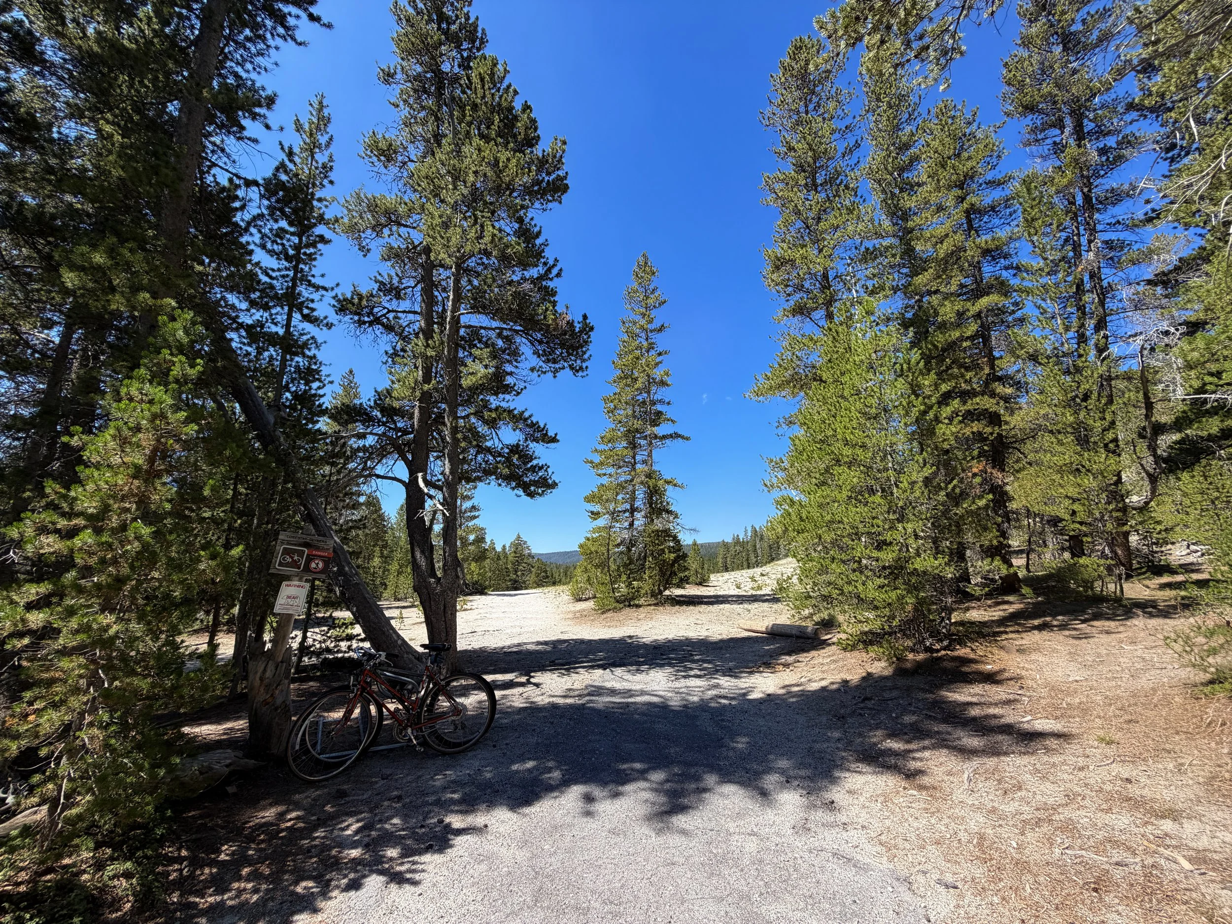 Lone Star Geyser Trail Yellowstone National Park Wyoming