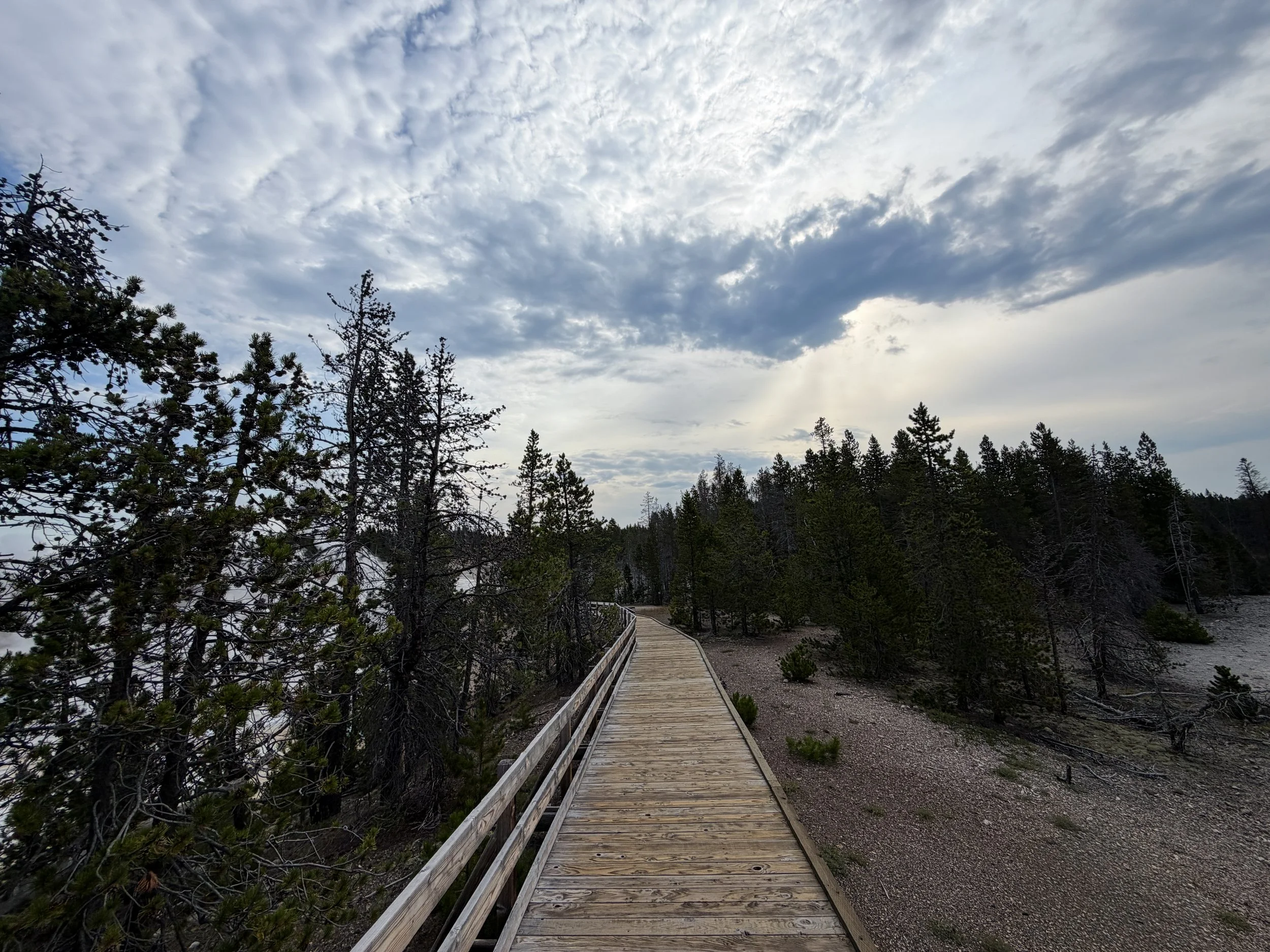 Porcelain Basin Norris Geyser Basin Trail Yellowstone National Park Wyoming