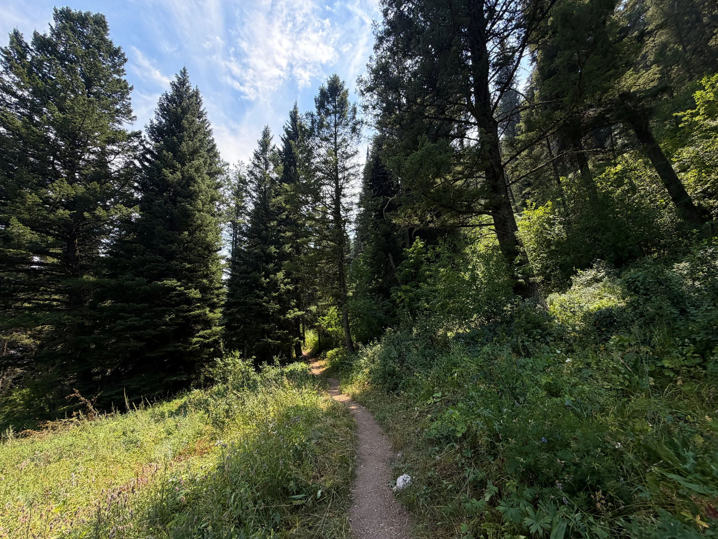 Phelps Lake Trail Grand Teton National Park Wyoming