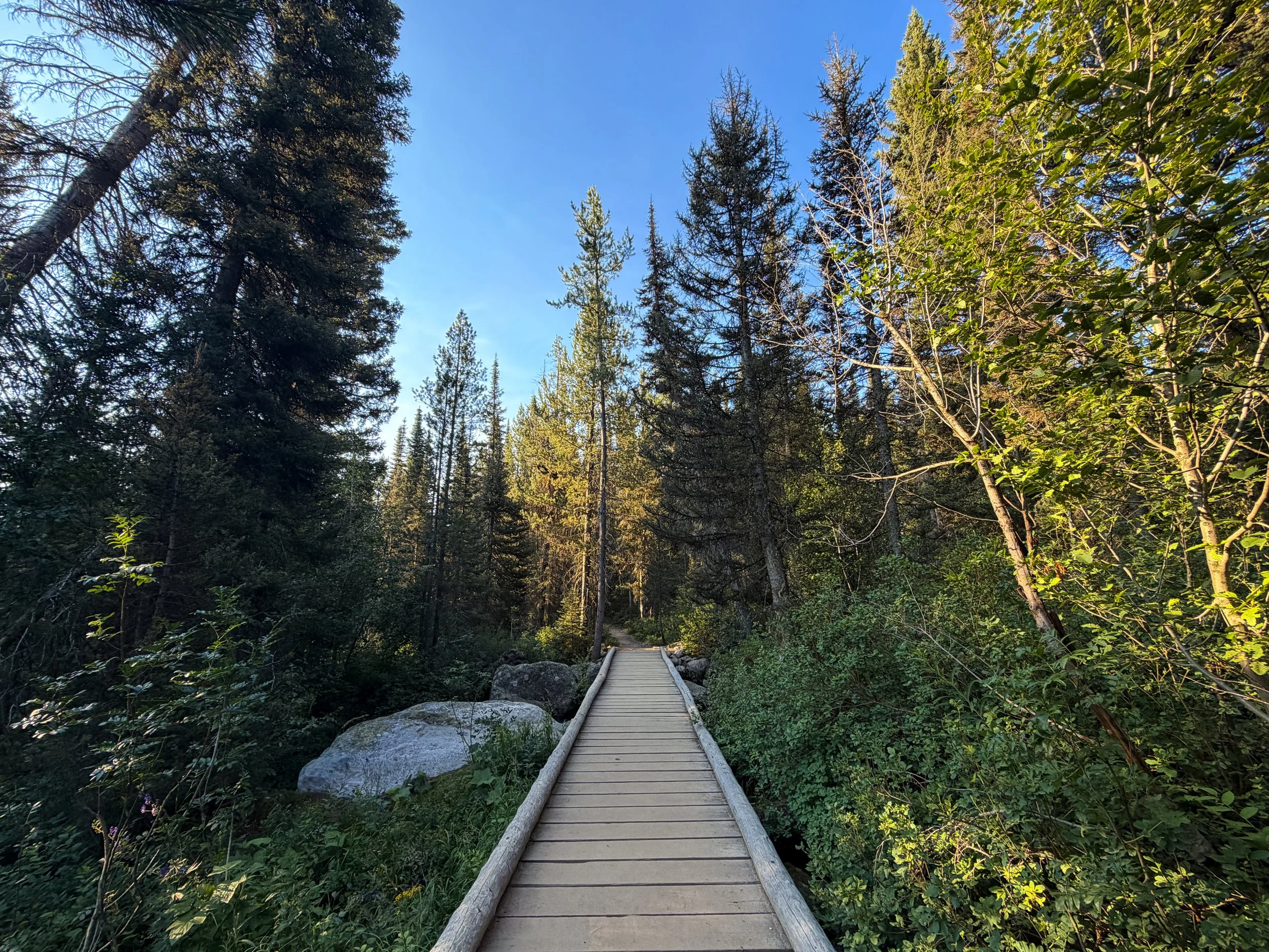Delta Lake Trail via Lupine Meadows Grand Teton National Park Wyoming