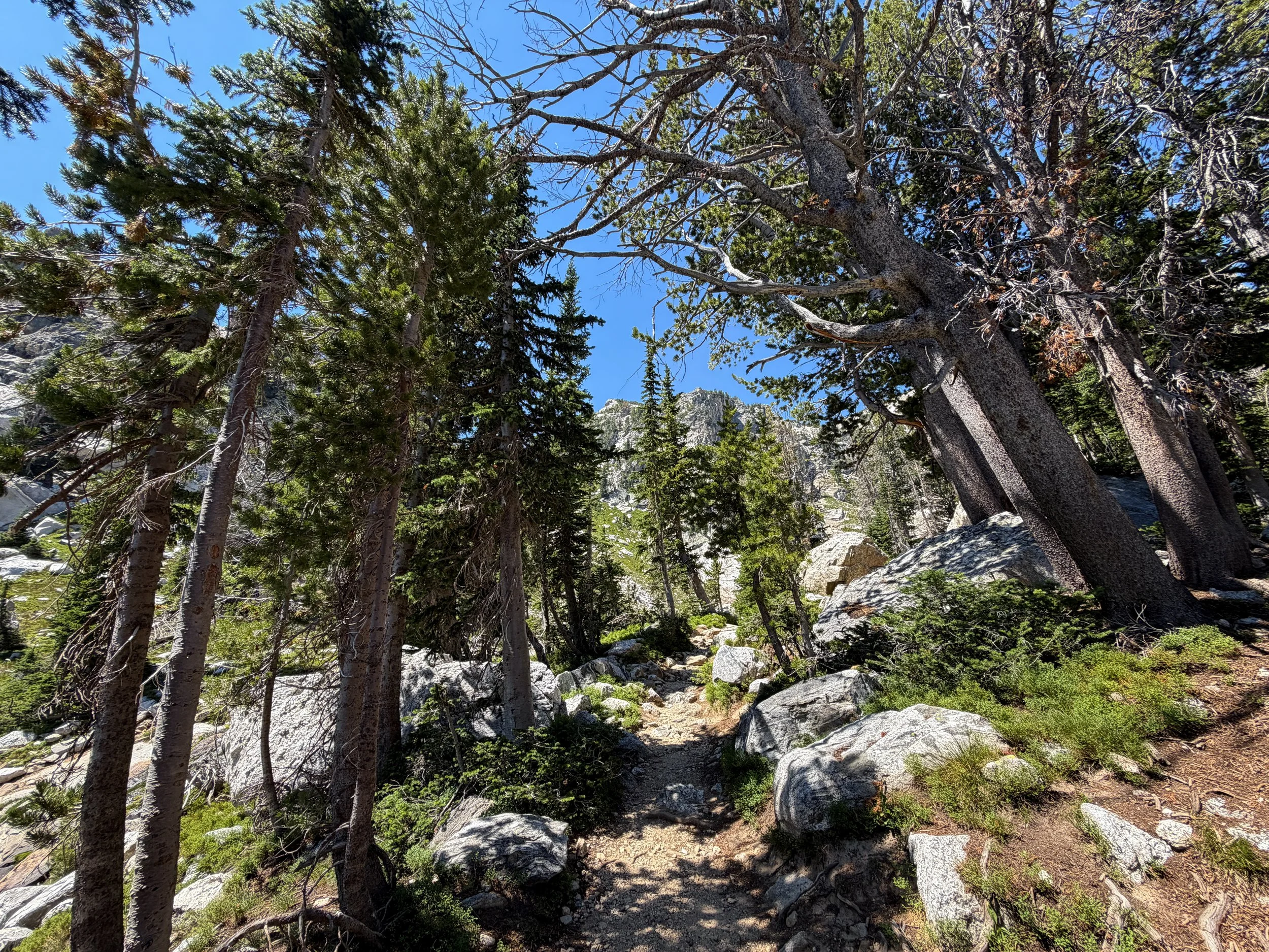 Surprise & Amphitheater Lakes Trail Grand Teton National Park Wyoming