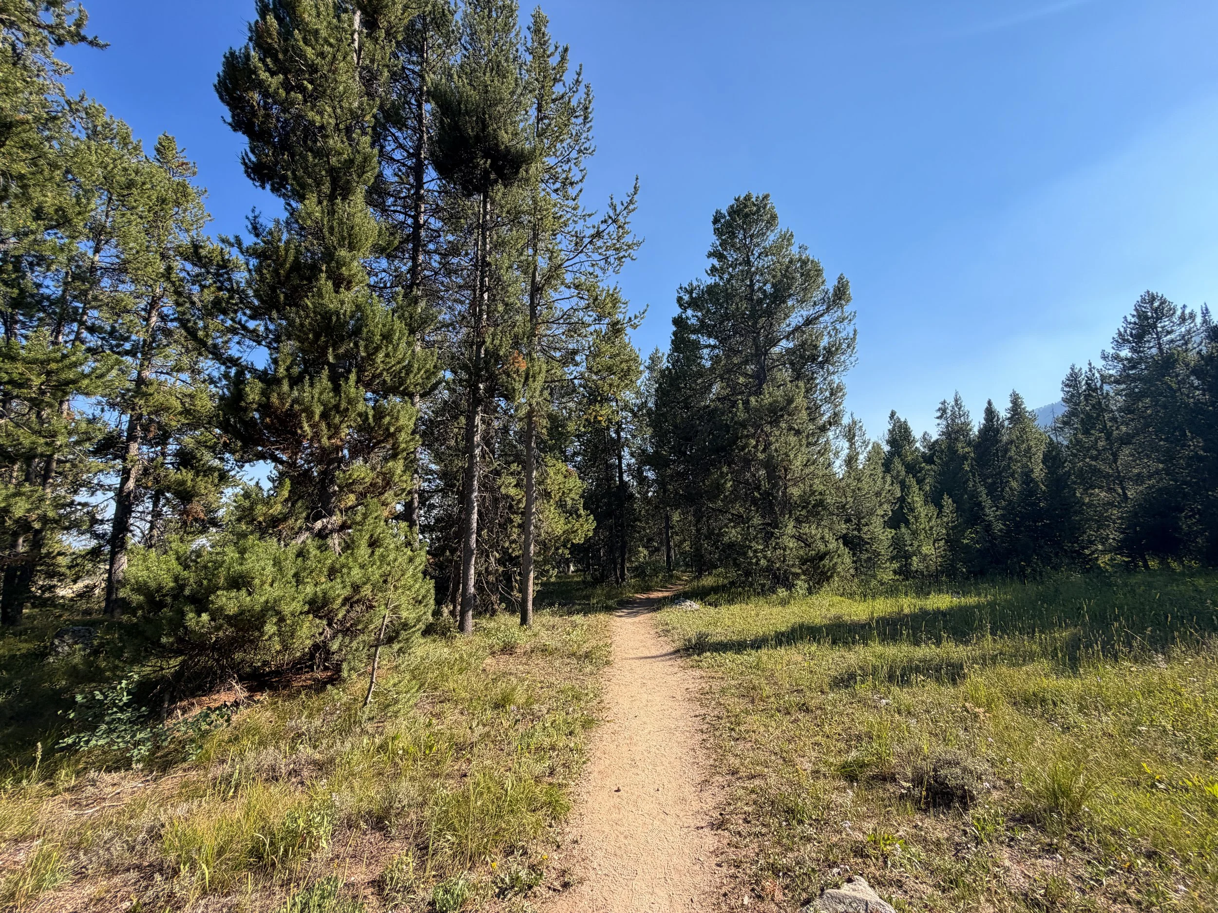 Moose Ponds Loop Trail Grand Teton National Park Wyoming