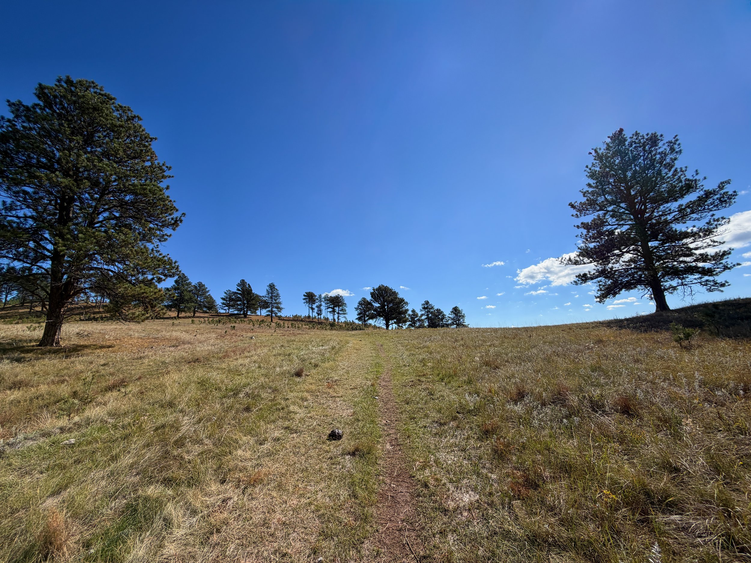 Lookout Point Trail Wind Cave National Park South Dakota
