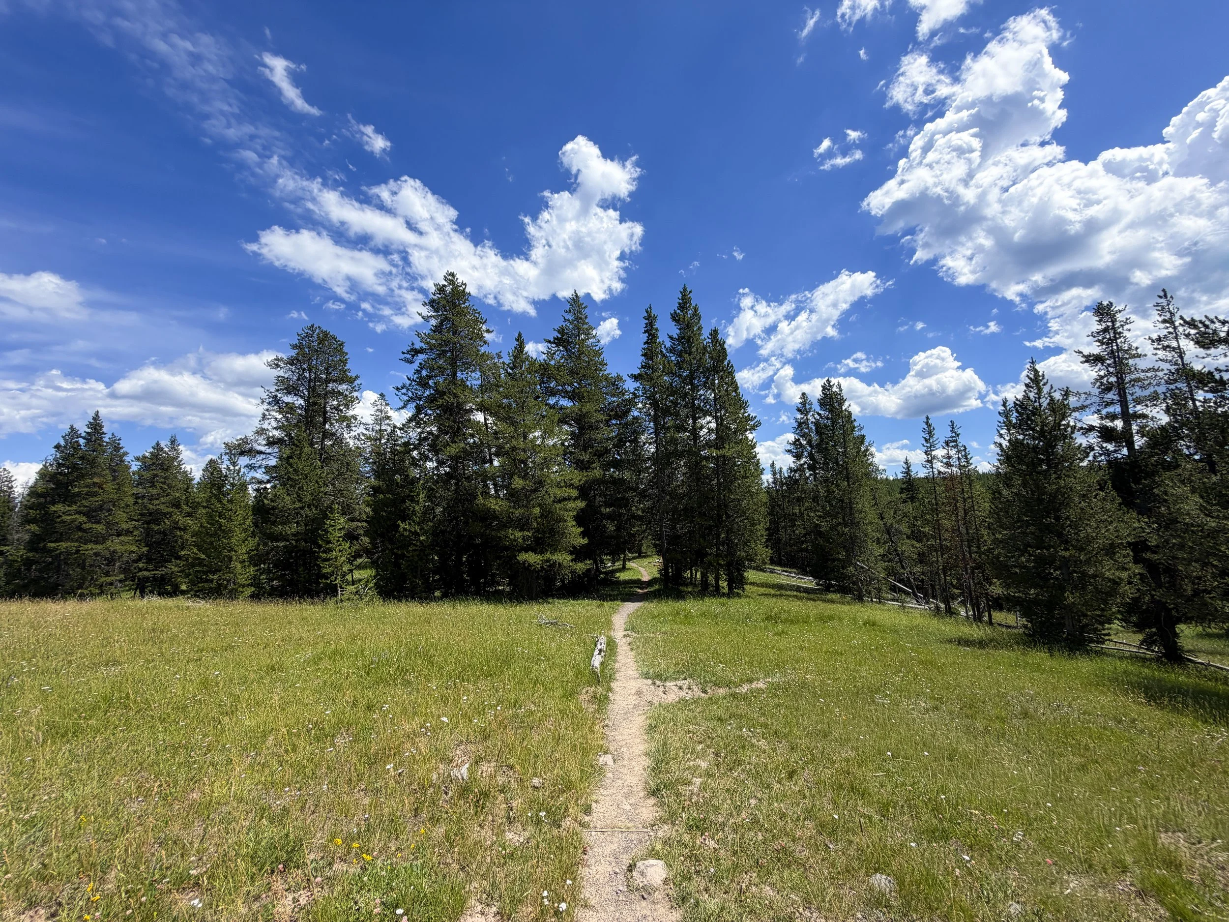 Yellowstone Lake Overlook Trail Yellowstone National Park Wyoming