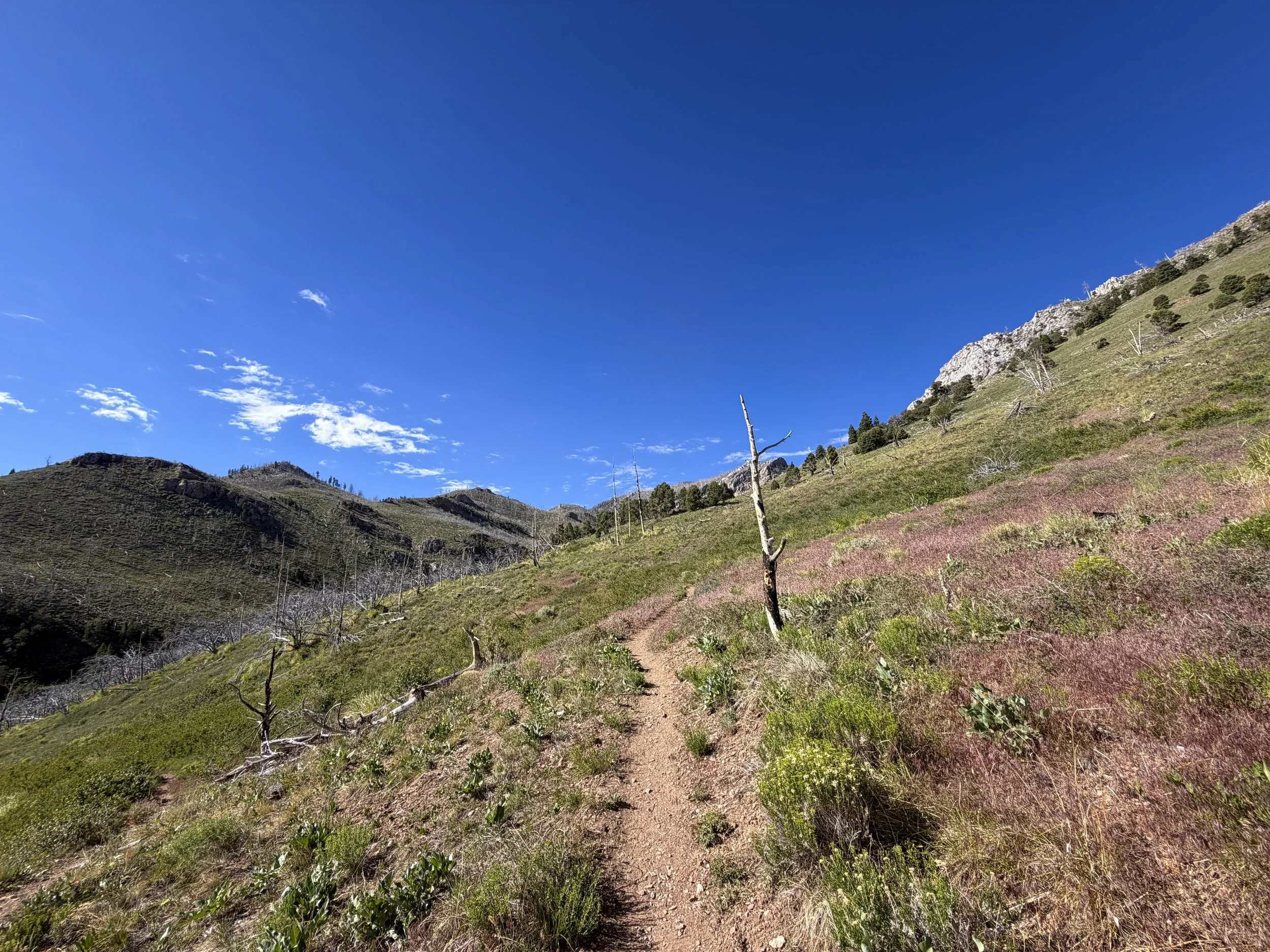 Lexington Arch Trail Great Basin National Park Nevada