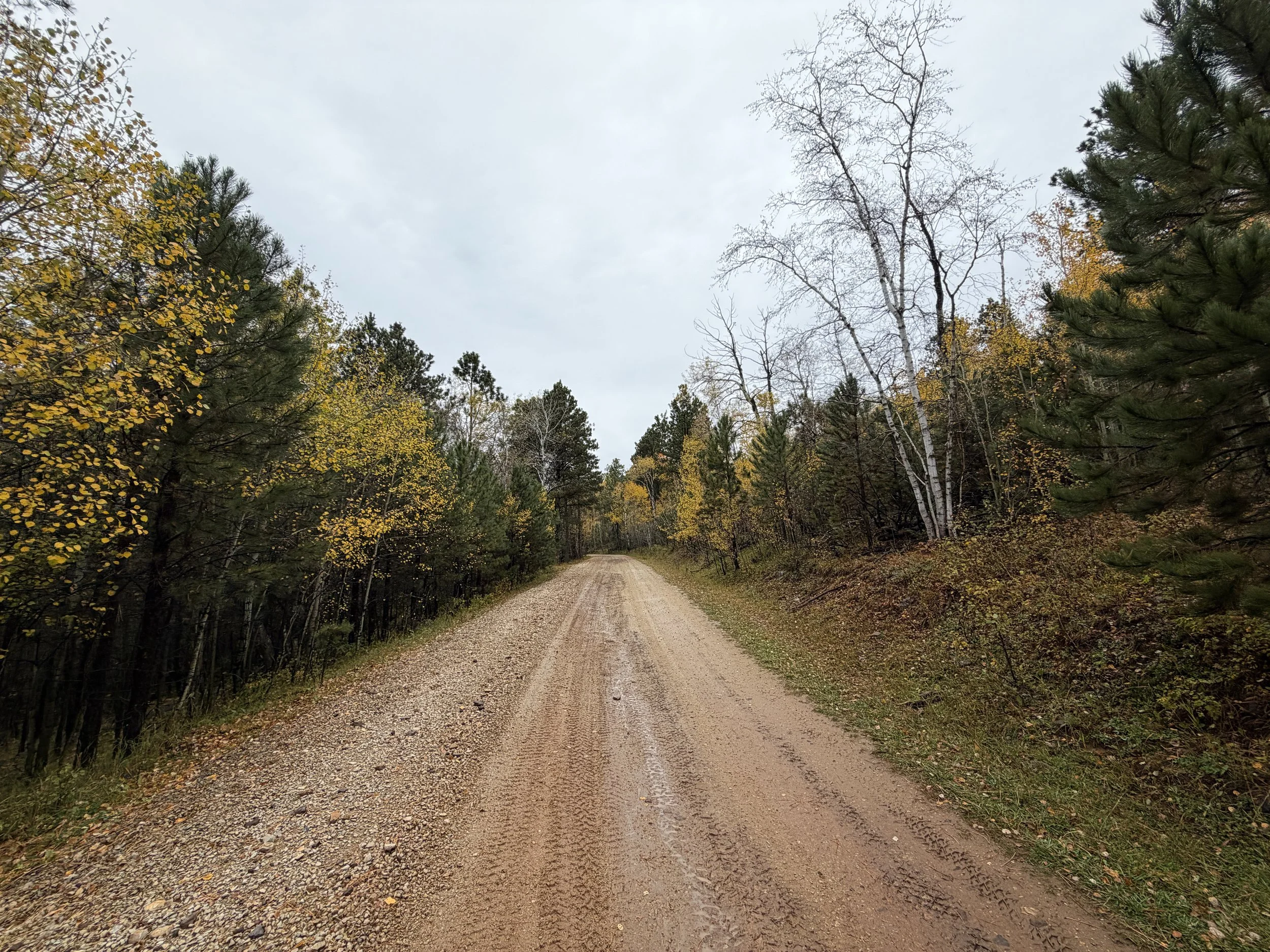 Custer Peak Trail Black Hills South Dakota