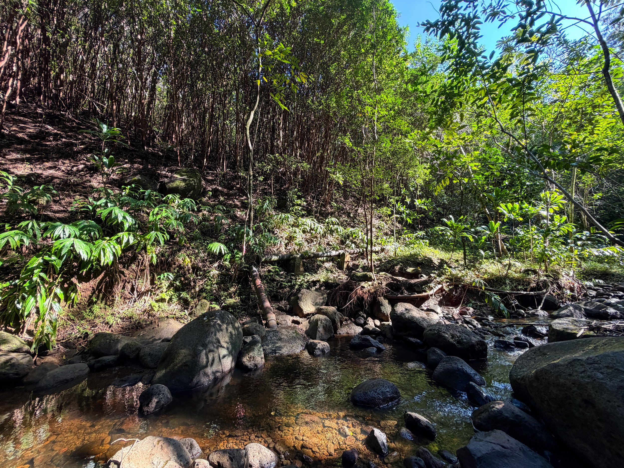 Kaau Crater Hike Oahu Hawaii