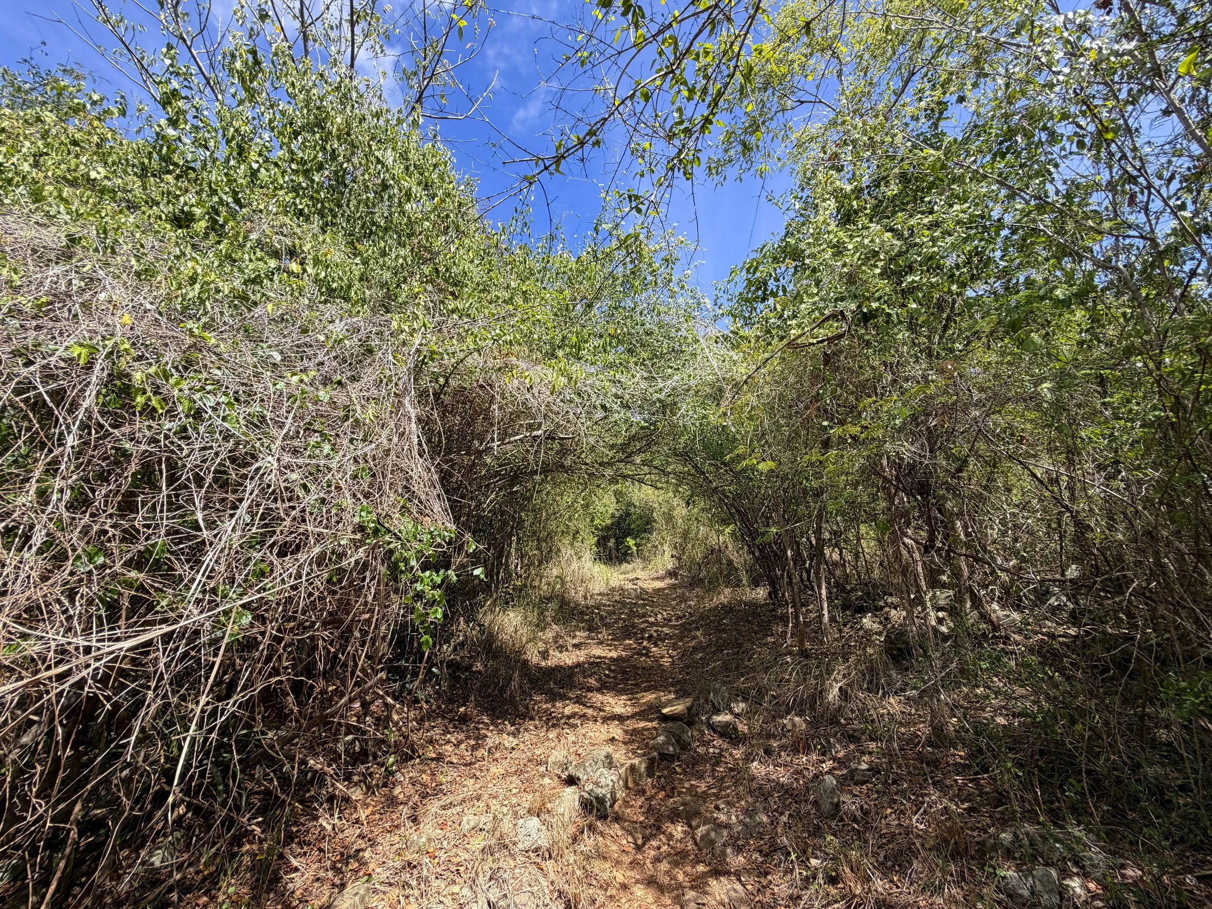 Lameshur Bay Hike Virgin Islands National Park