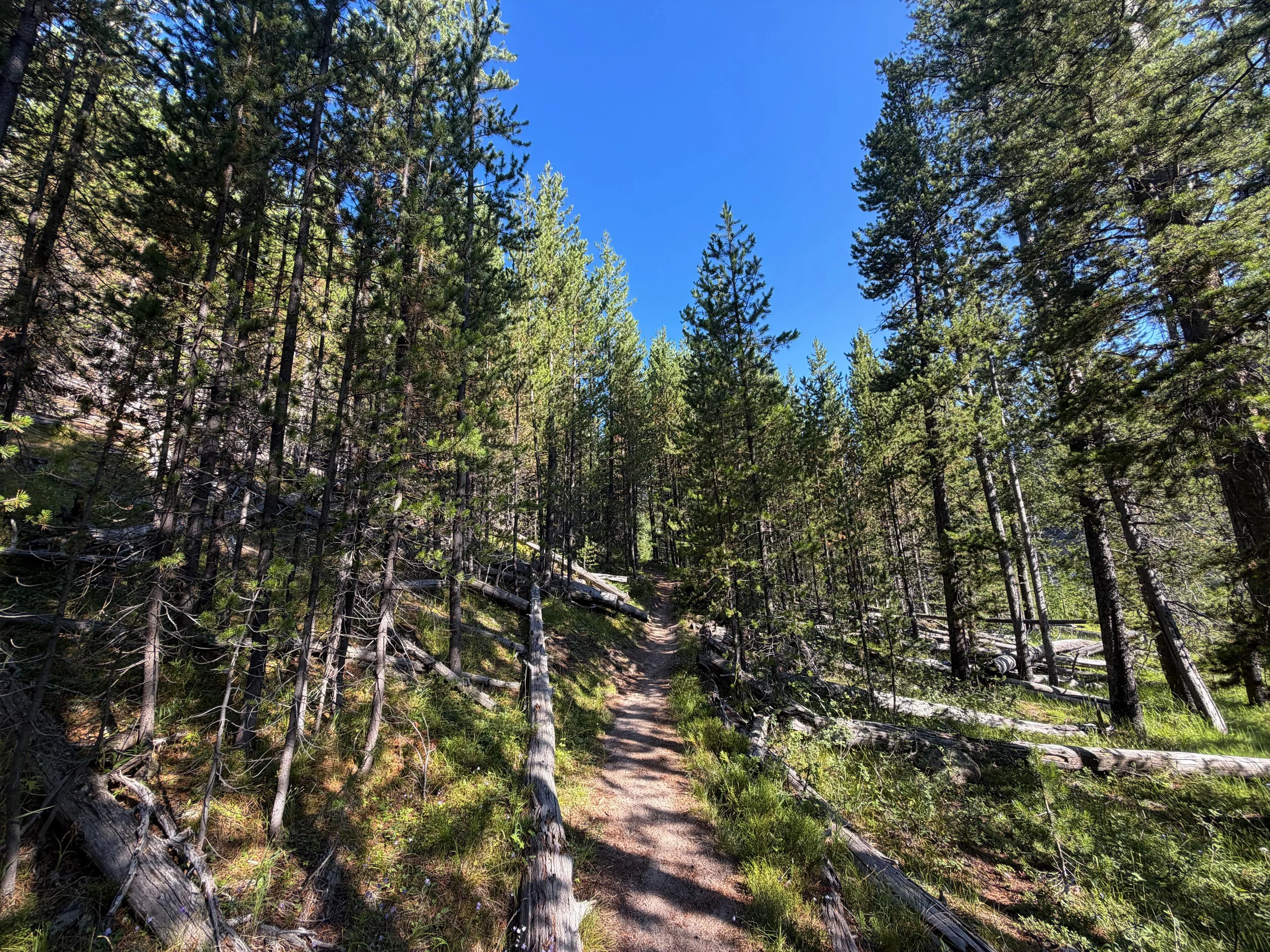 Monument Geyser Basin Trail Yellowstone National Park Wyoming