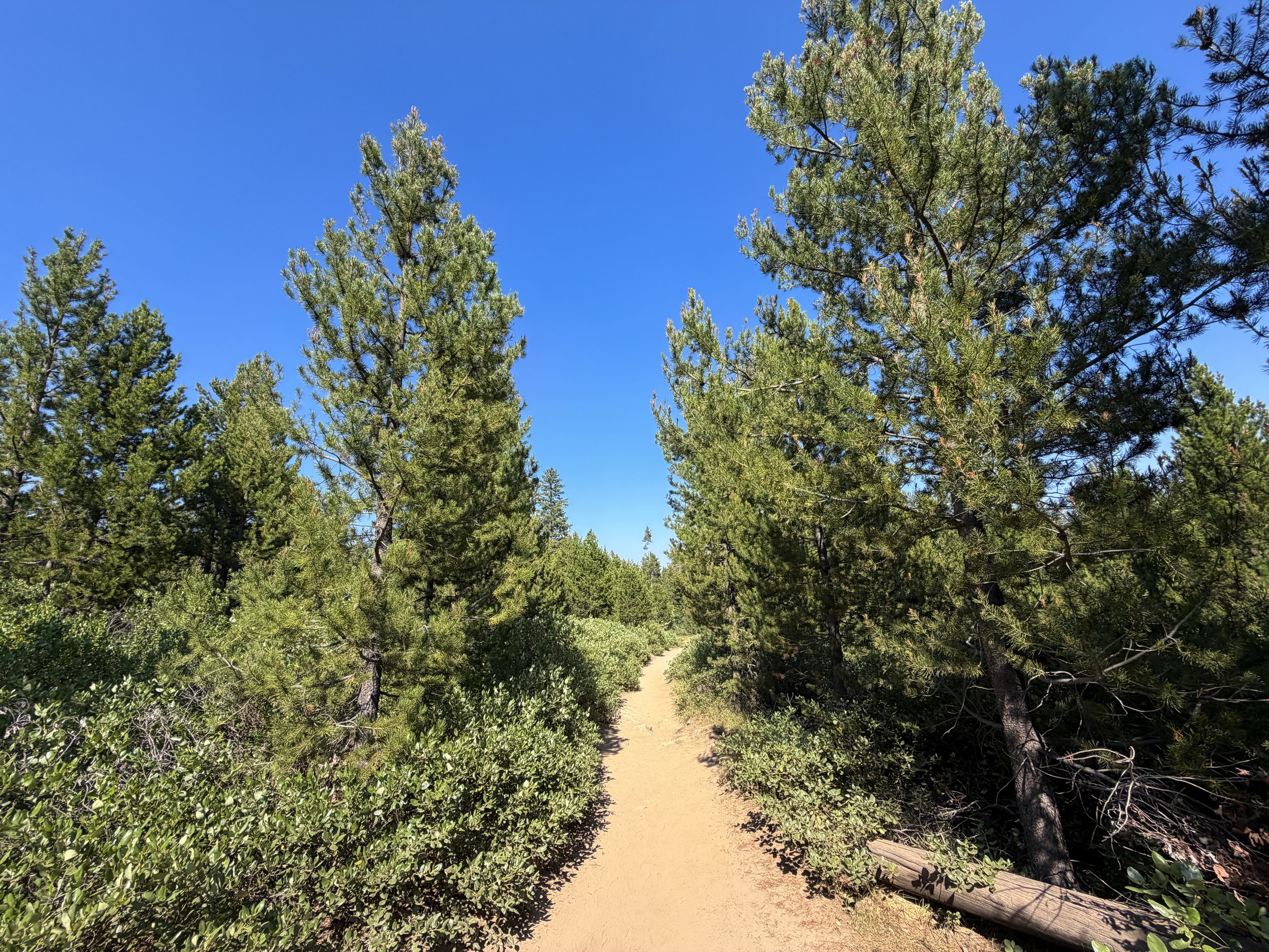 Jenny Lake Loop Hike Grand Teton National Park Wyoming