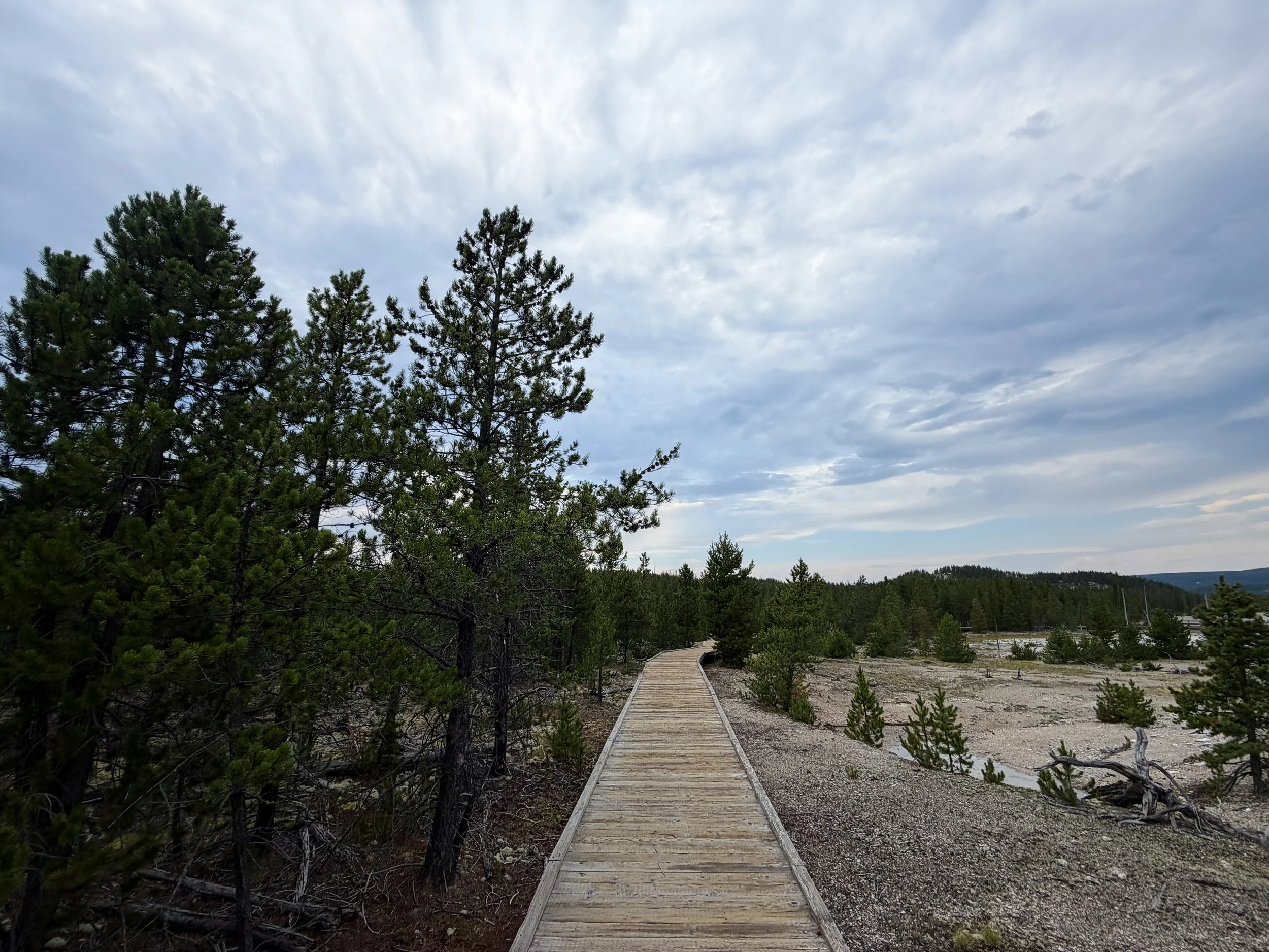 Back Basin Norris Geyser Basin Trail Yellowstone National Park Wyoming