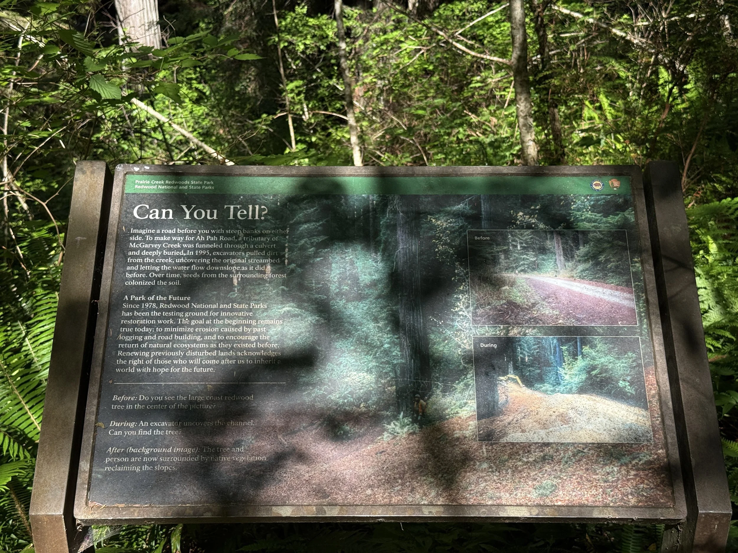 Ah Pah Interpretive Trail Prairie Creek Redwoods State Park California