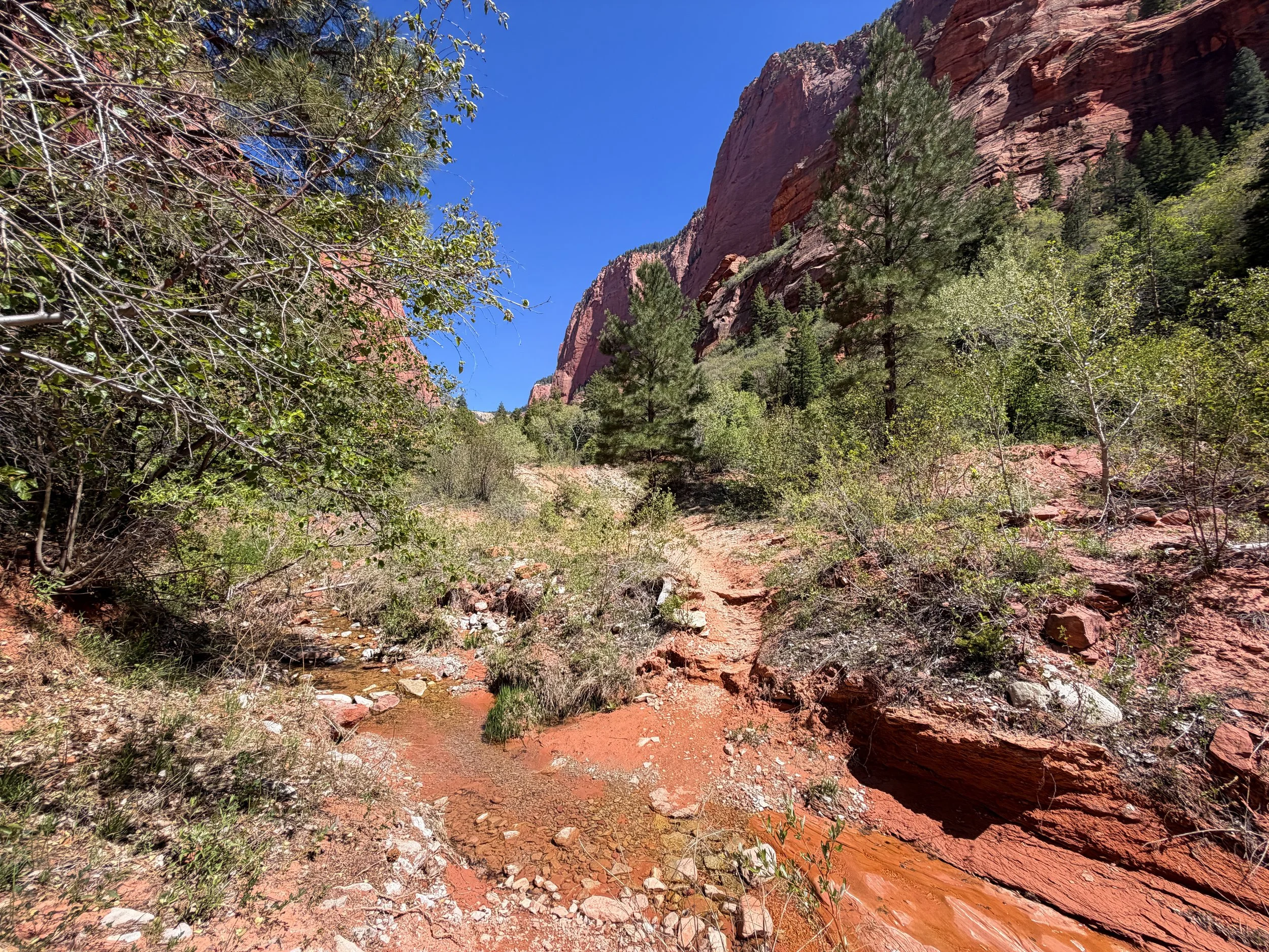 Taylor Creek Trail to Double Arch Alcove Zion National Park Utah