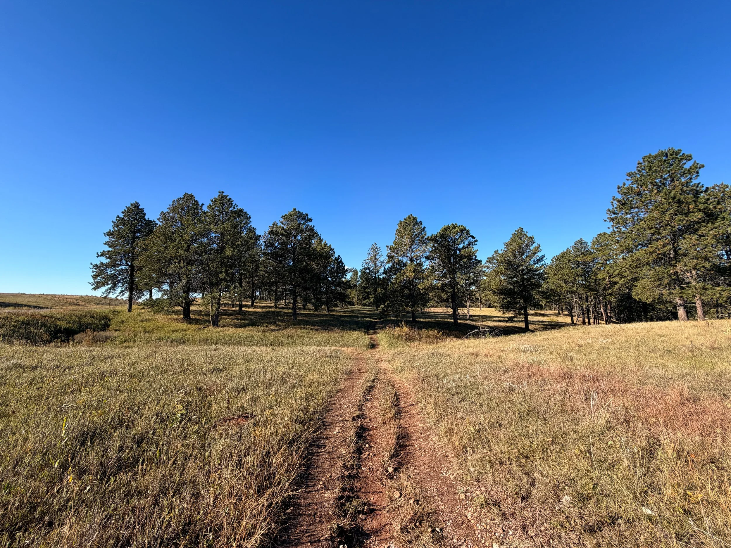 Cold Brook Canyon Trail Wind Cave National Park South Dakota