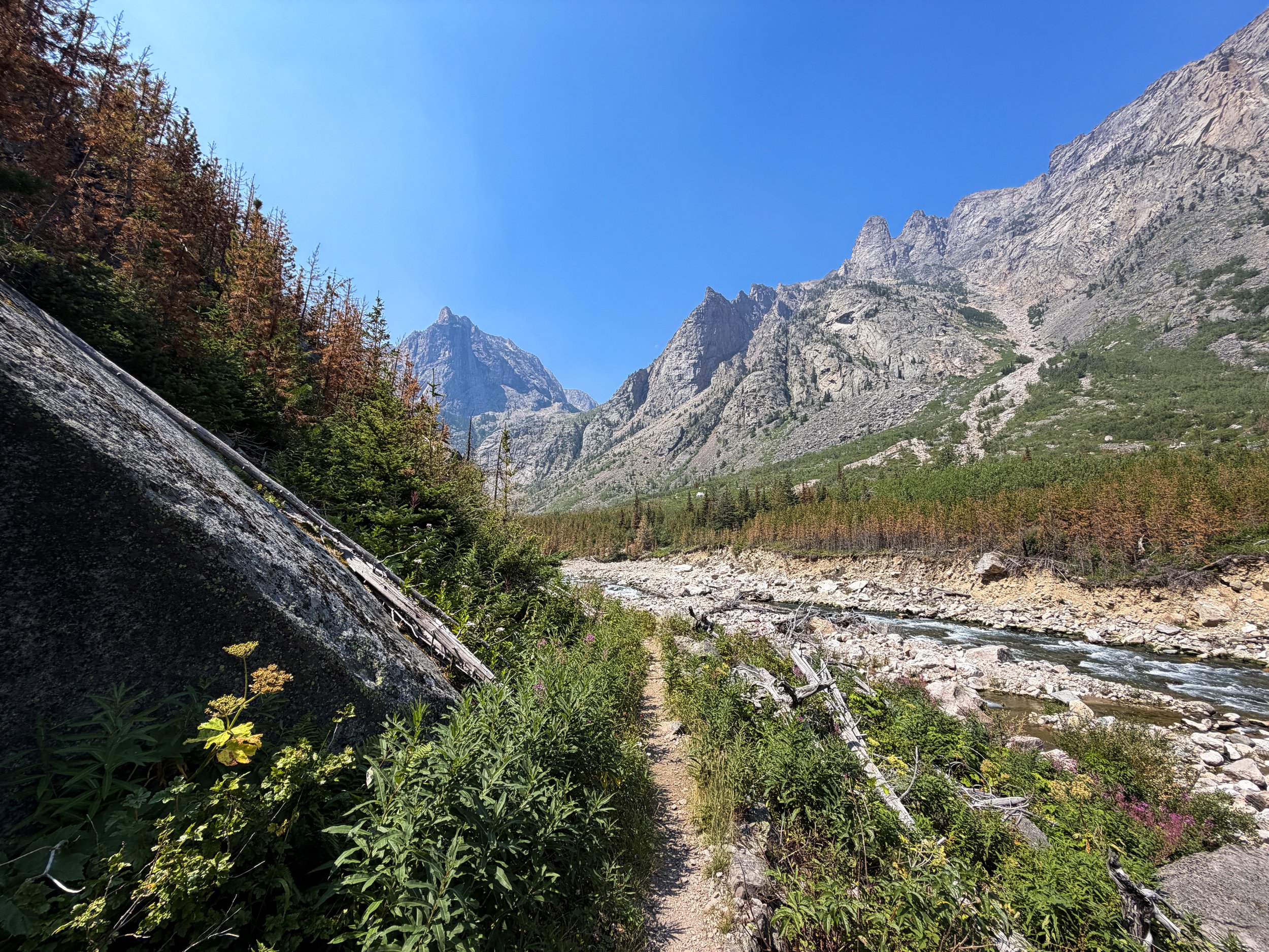 East Rosebud Trail Beaten Path Beartooth Mountains Montana