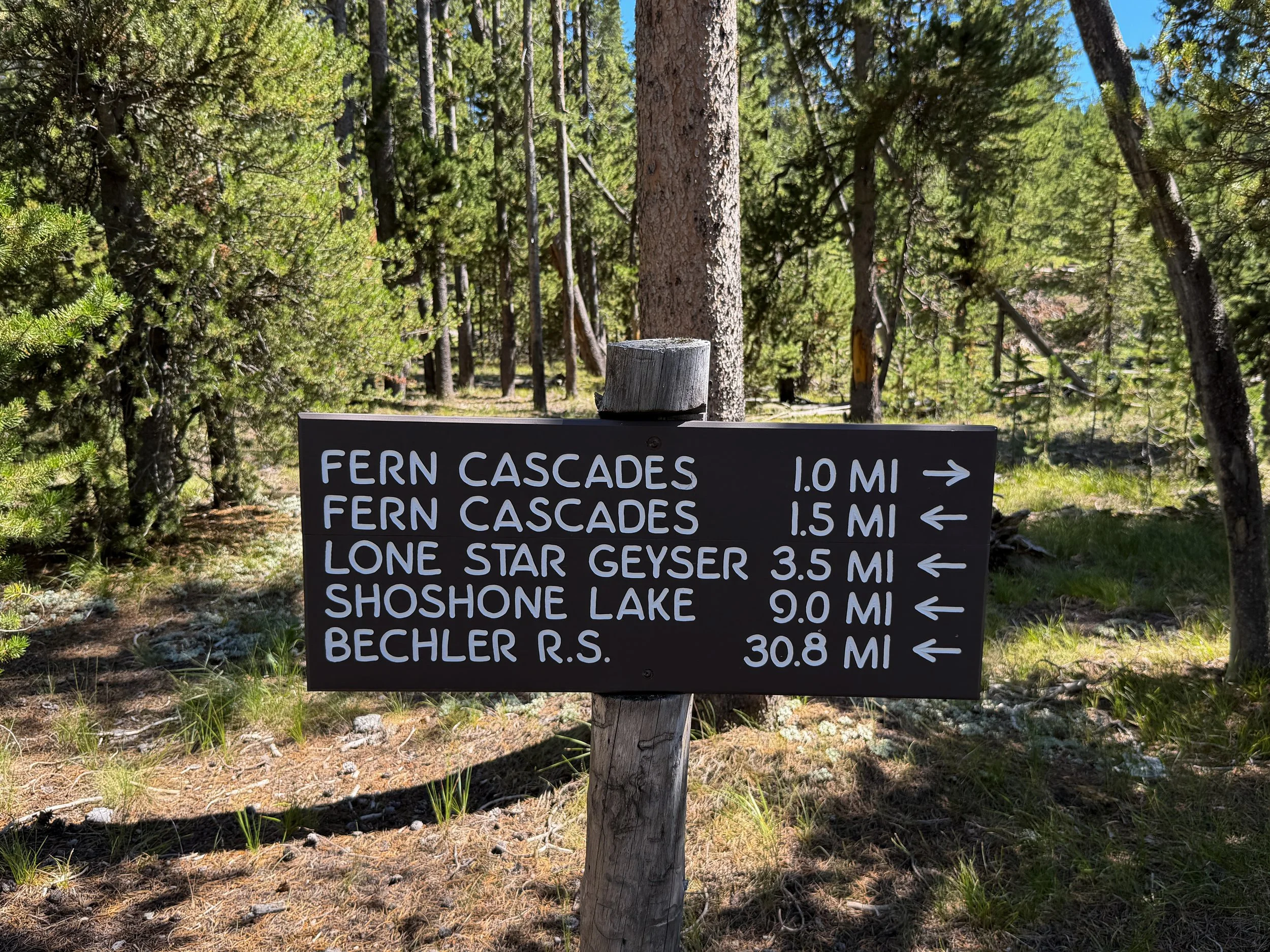Fern Cascade Loop Trail Yellowstone National Park Wyoming