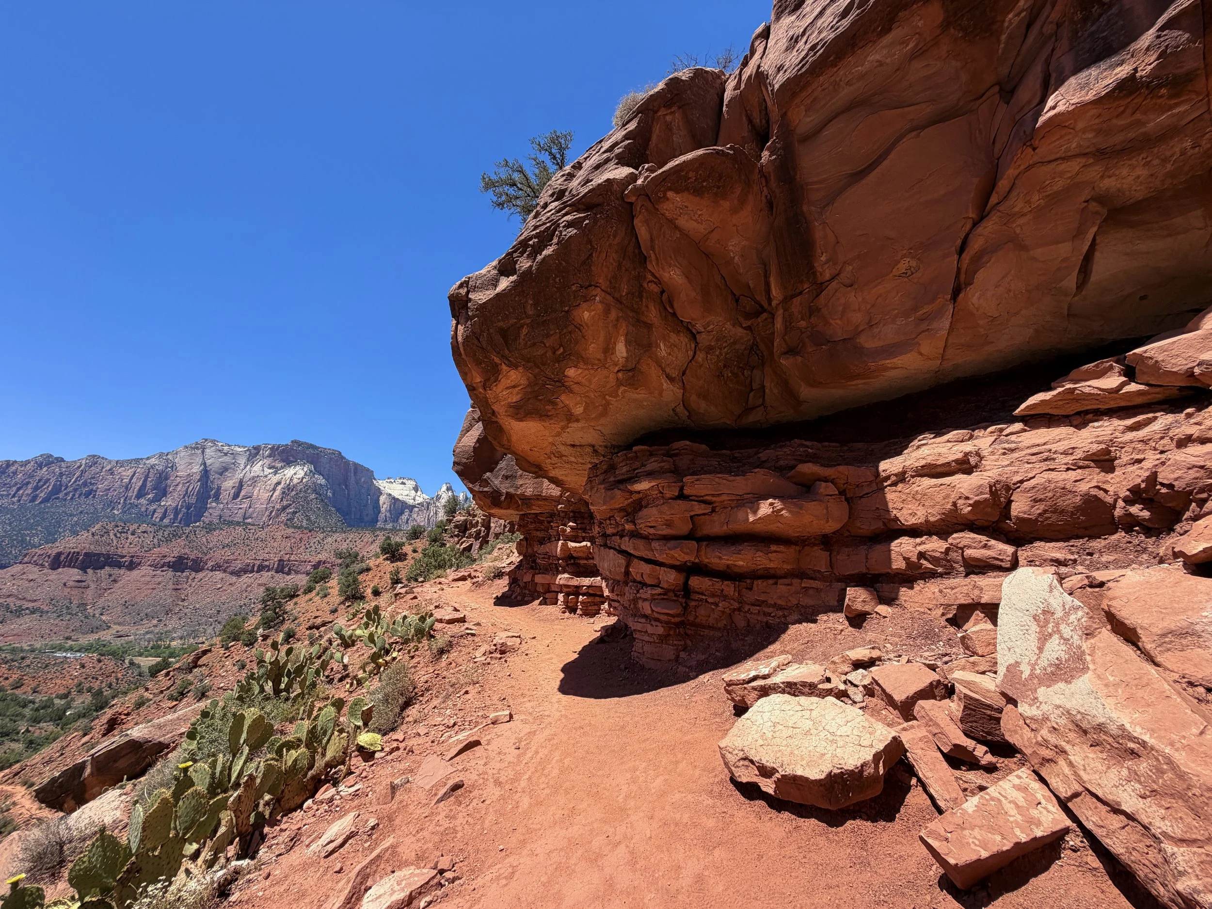Watchman Trail Switchbacks Zion National Park Utah