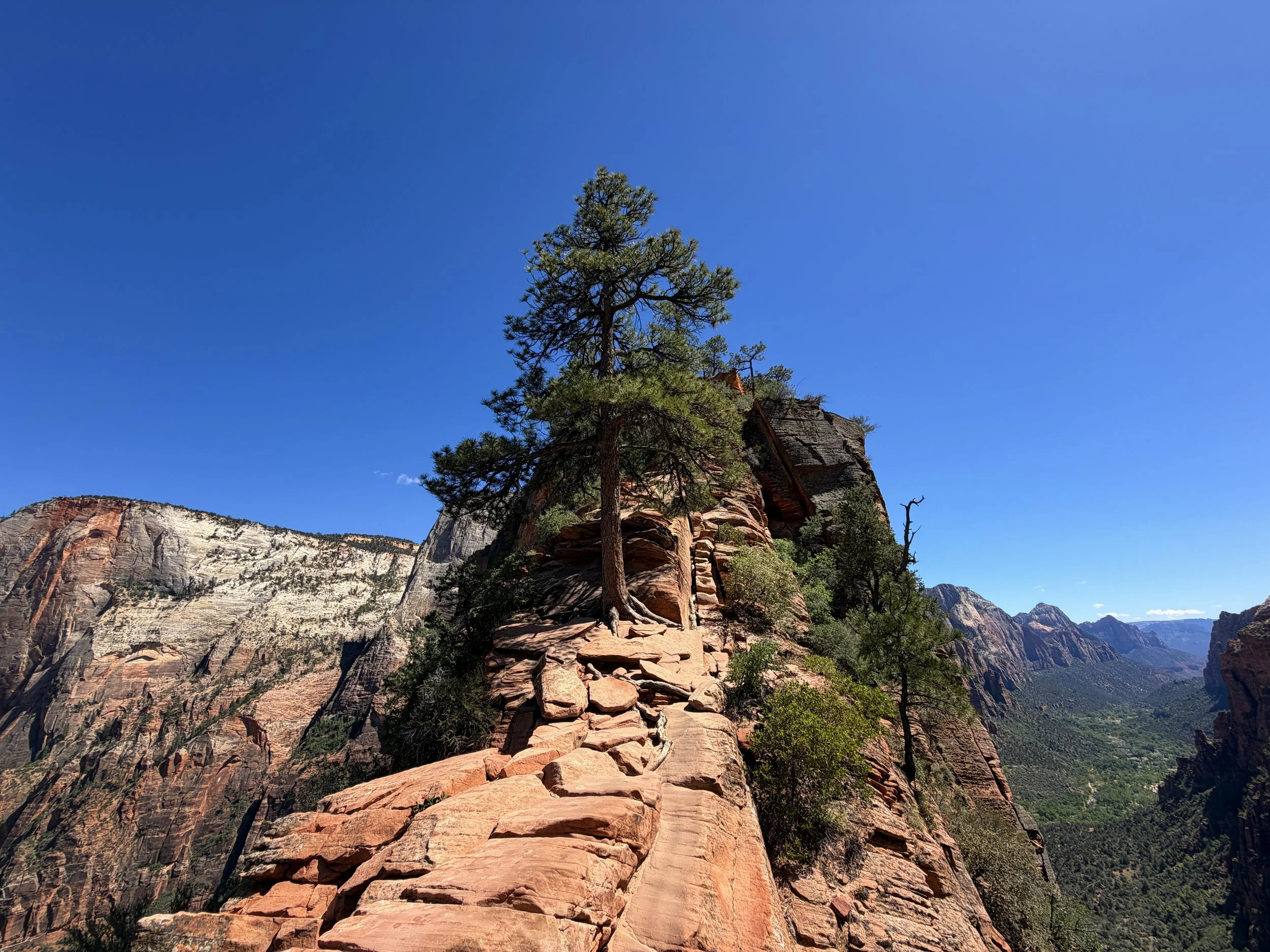 Angels Landing Hike Chains Zion National Park Utah