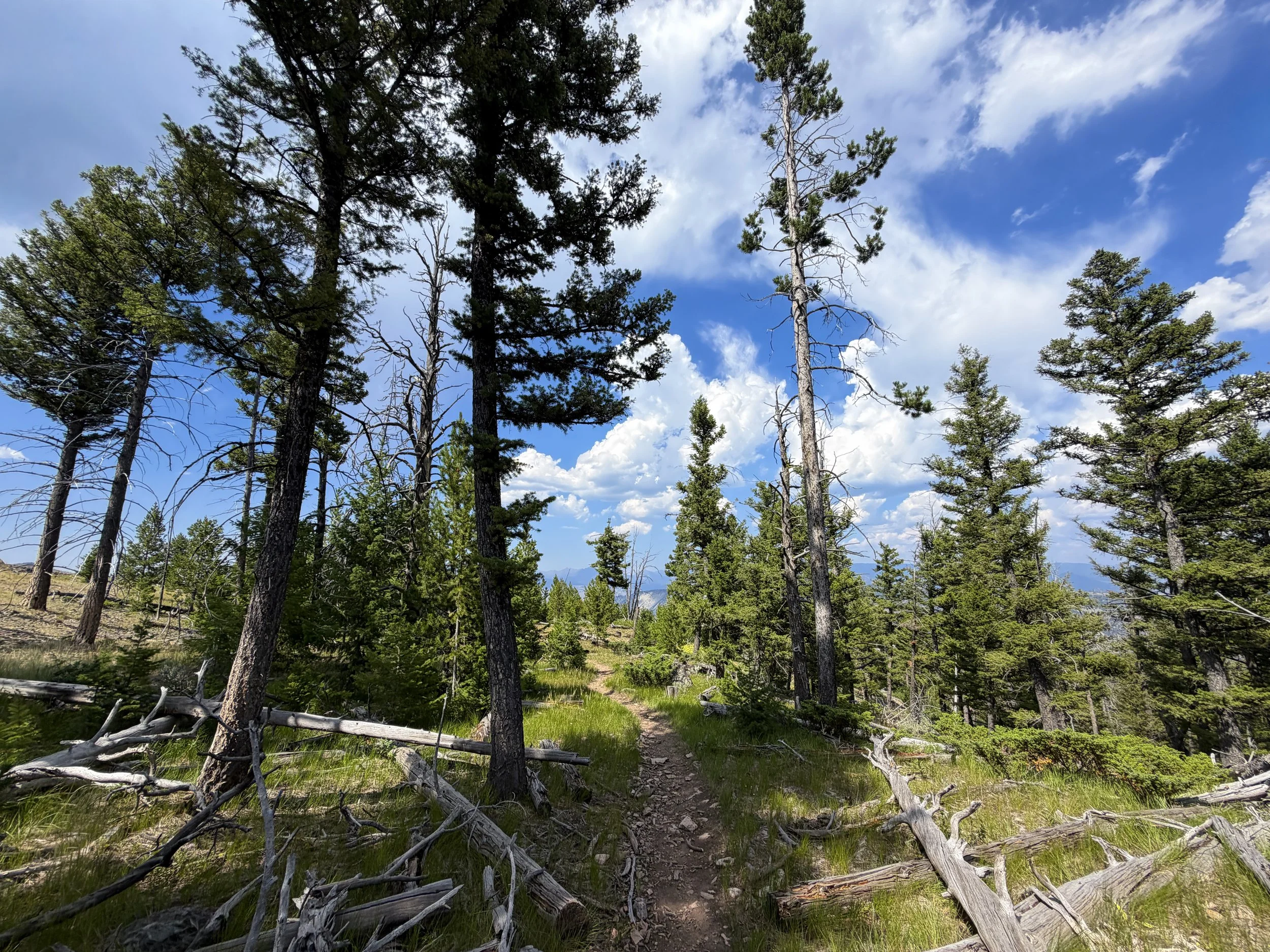 Bunsen Peak Trail Yellowstone National Park Wyoming