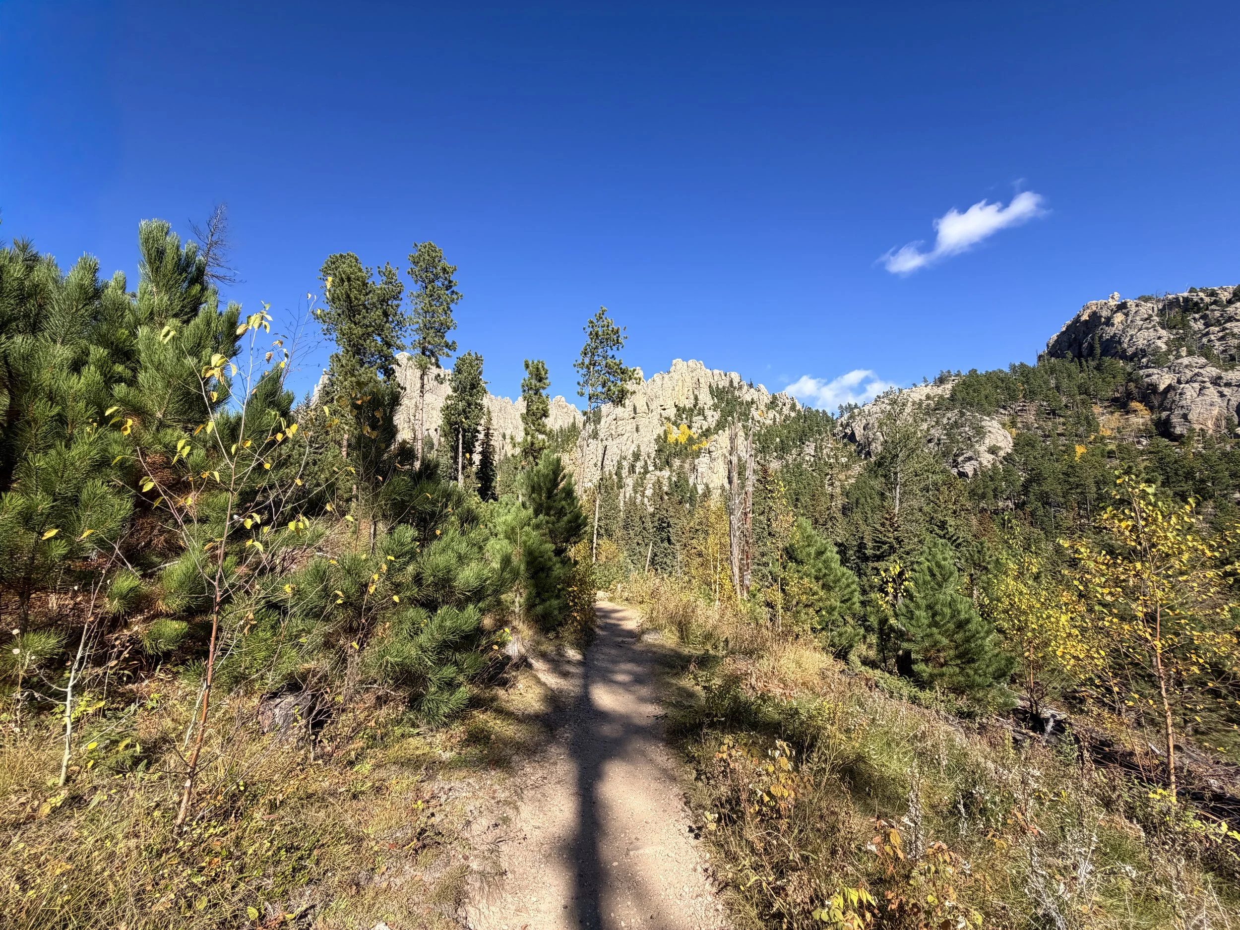 Cathedral Spires Trail Custer State Park Black Hills South Dakota