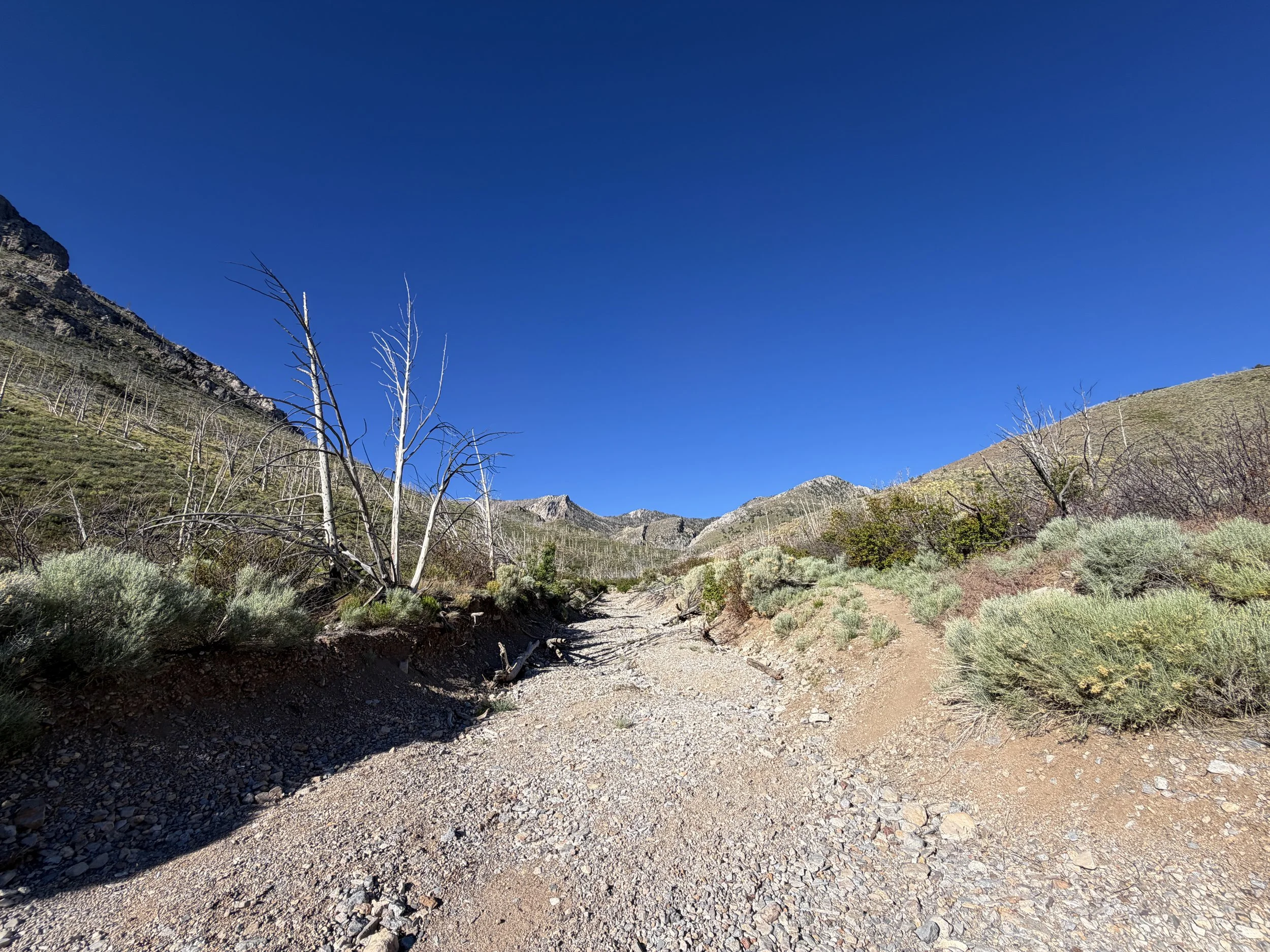 Lexington Arch Trail Great Basin National Park Nevada
