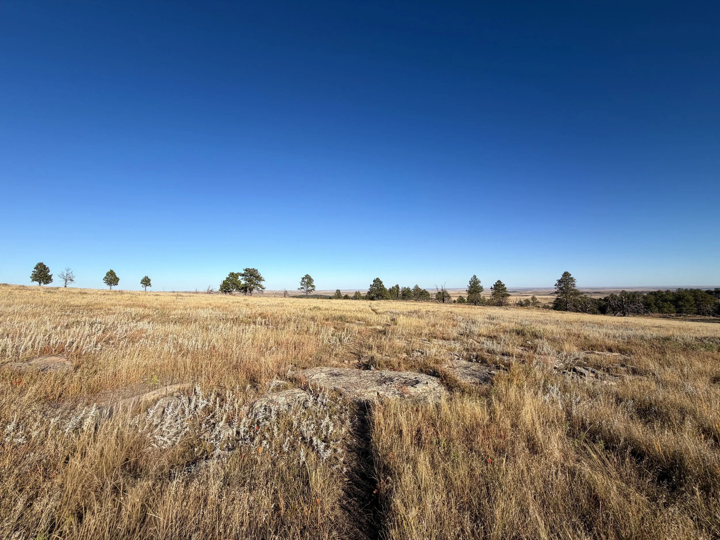 Boland Ridge Hike Wind Cave National Park South Dakota