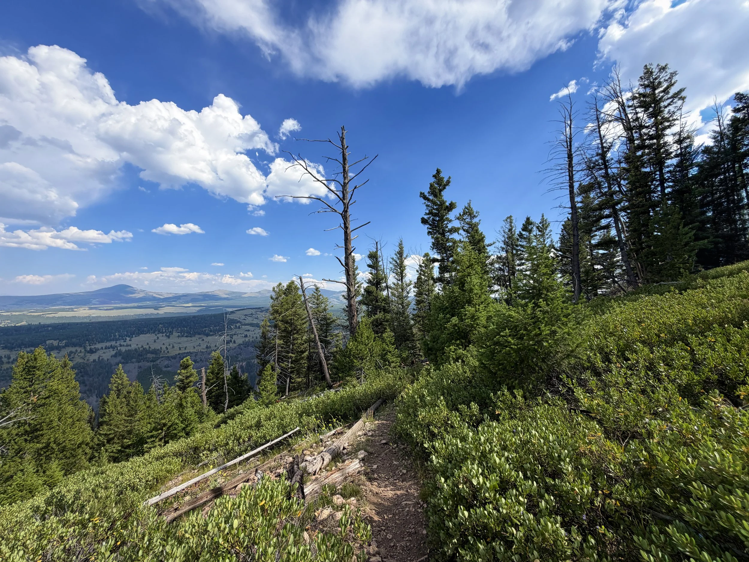 Bunsen Peak Hike Yellowstone National Park Wyoming