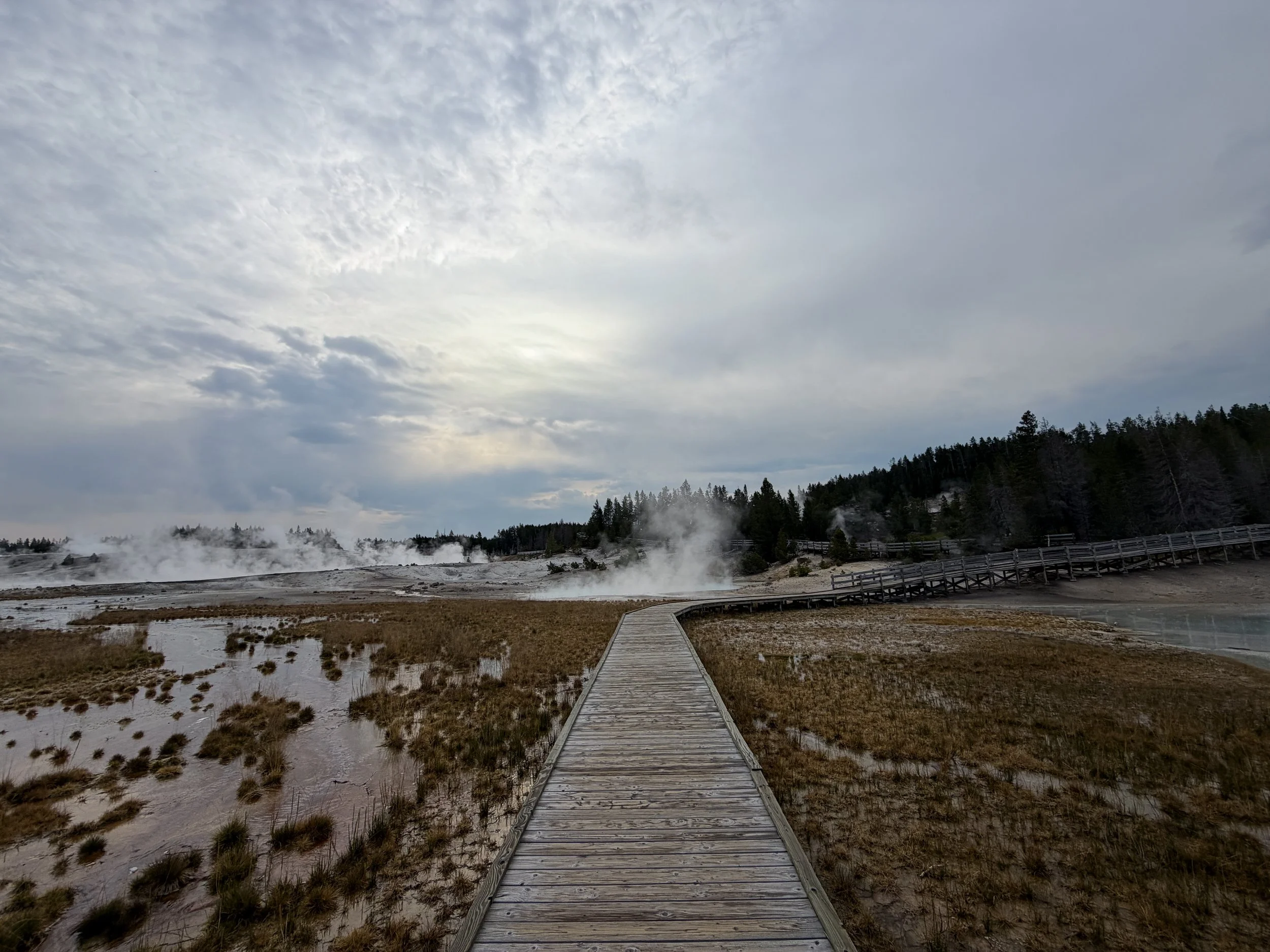 Porcelain Basin Loop Trail Yellowstone National Park Wyoming