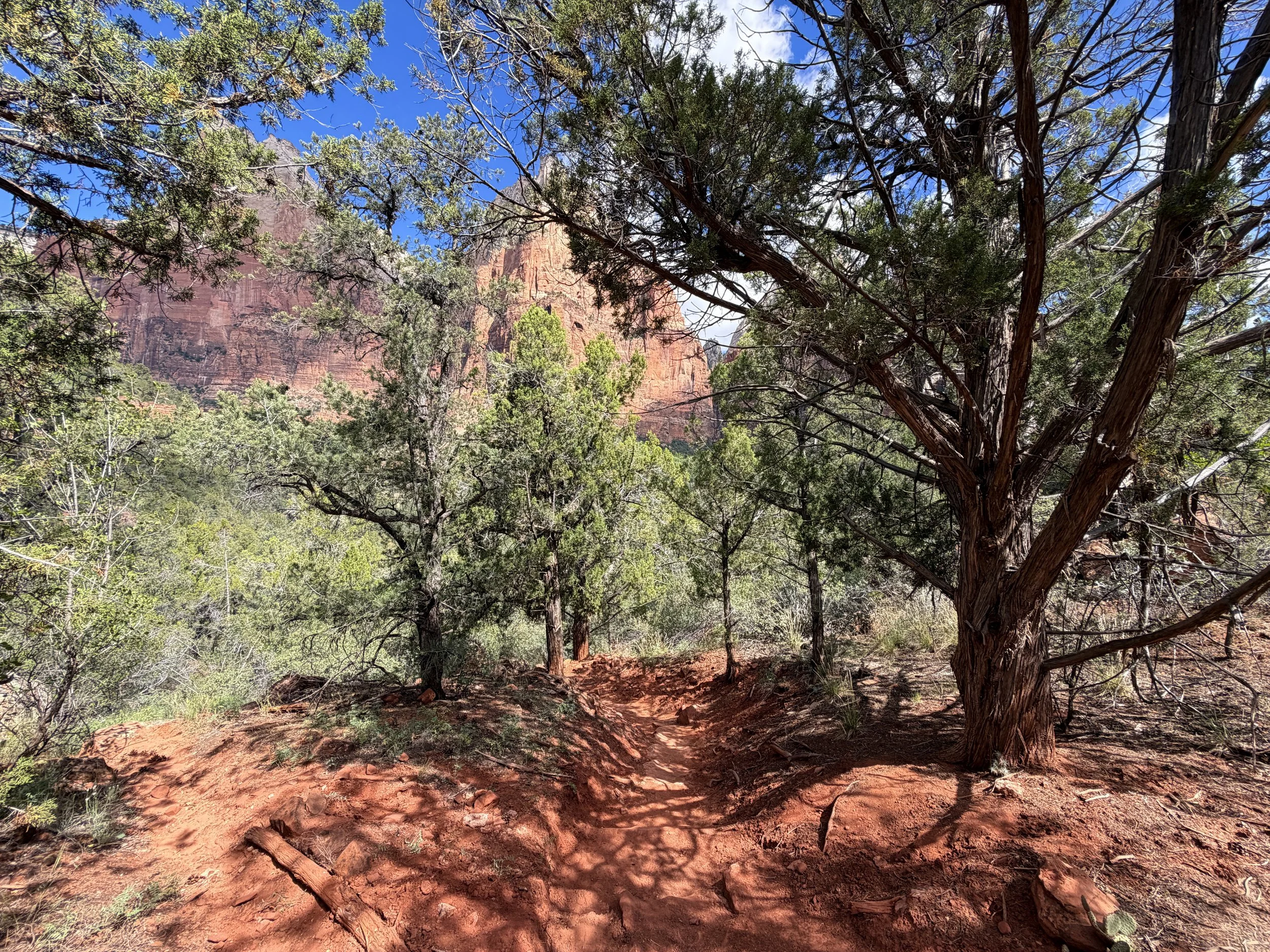 Sand Bench Trail Zion National Park Utah