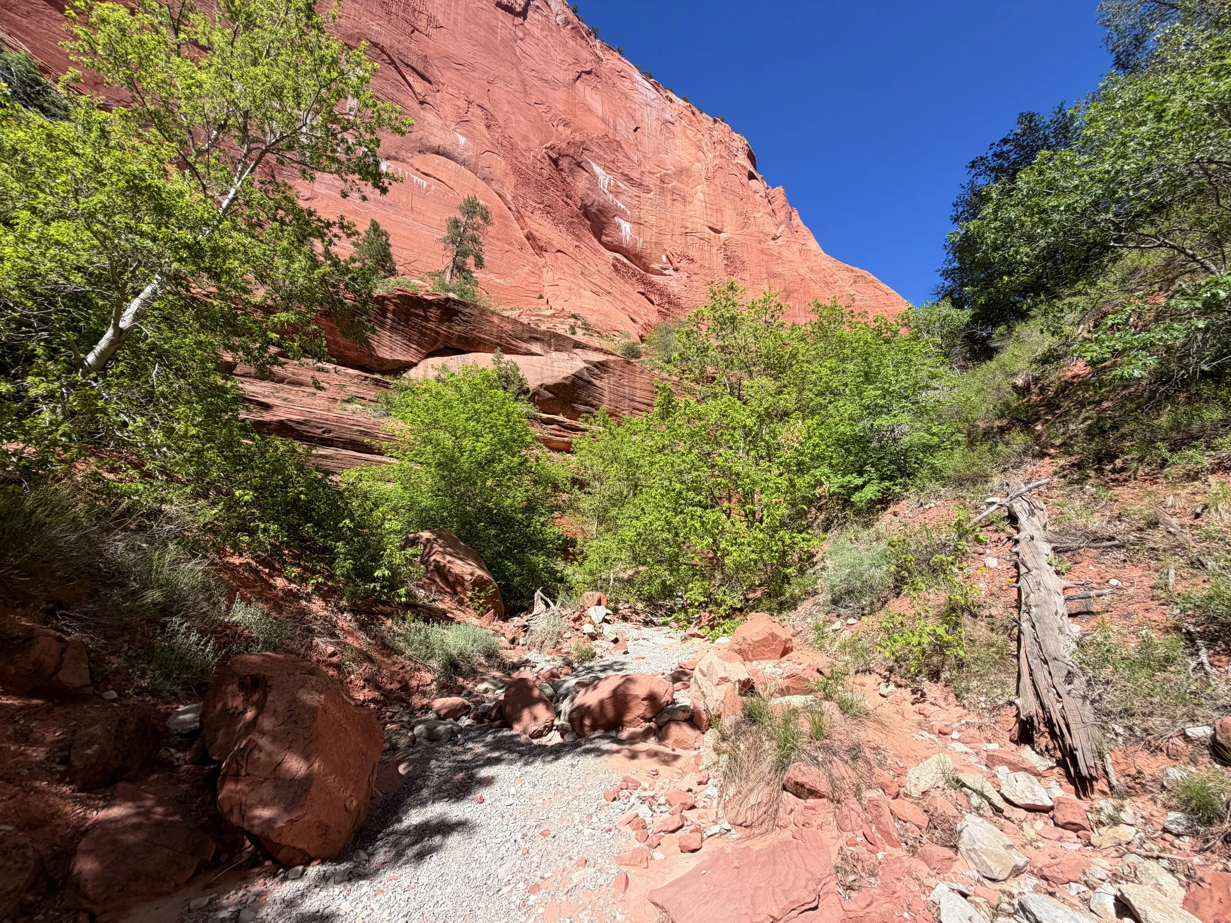 Taylor Creek Trail Zion National Park Utah
