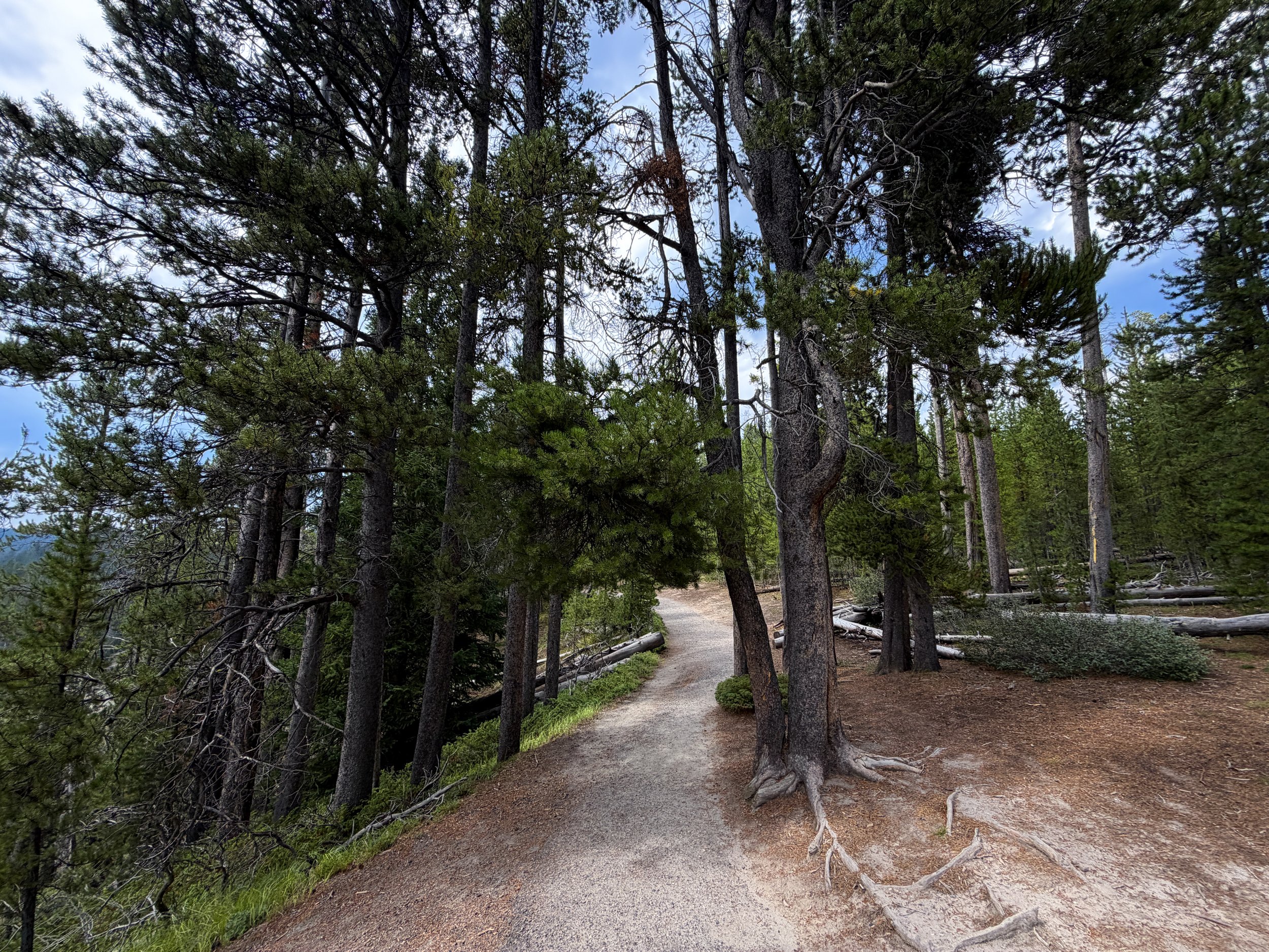 South Rim Hike Yellowstone National Park Wyoming