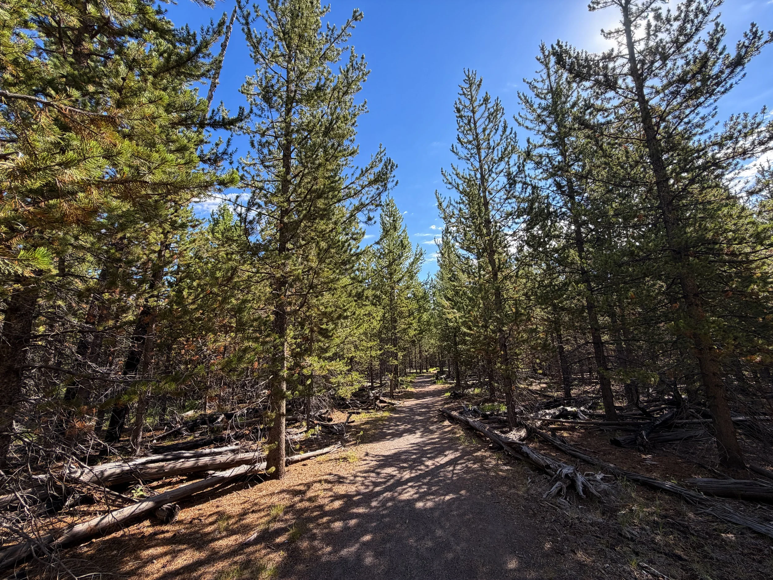 Fairy Falls Trail to Imperial Geyser Yellowstone National Park Wyoming