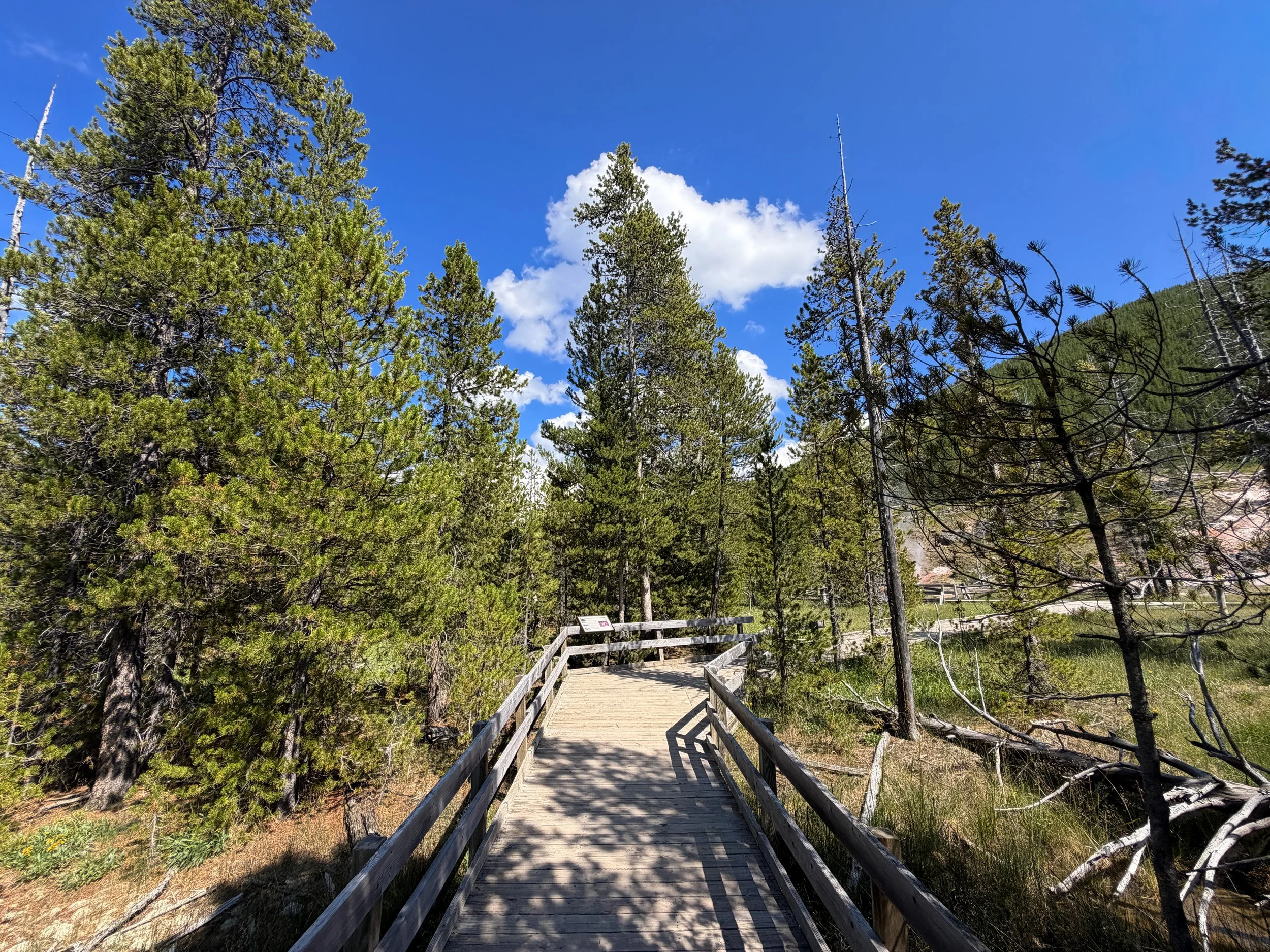Artists Paintpots Trail Yellowstone National Park Wyoming