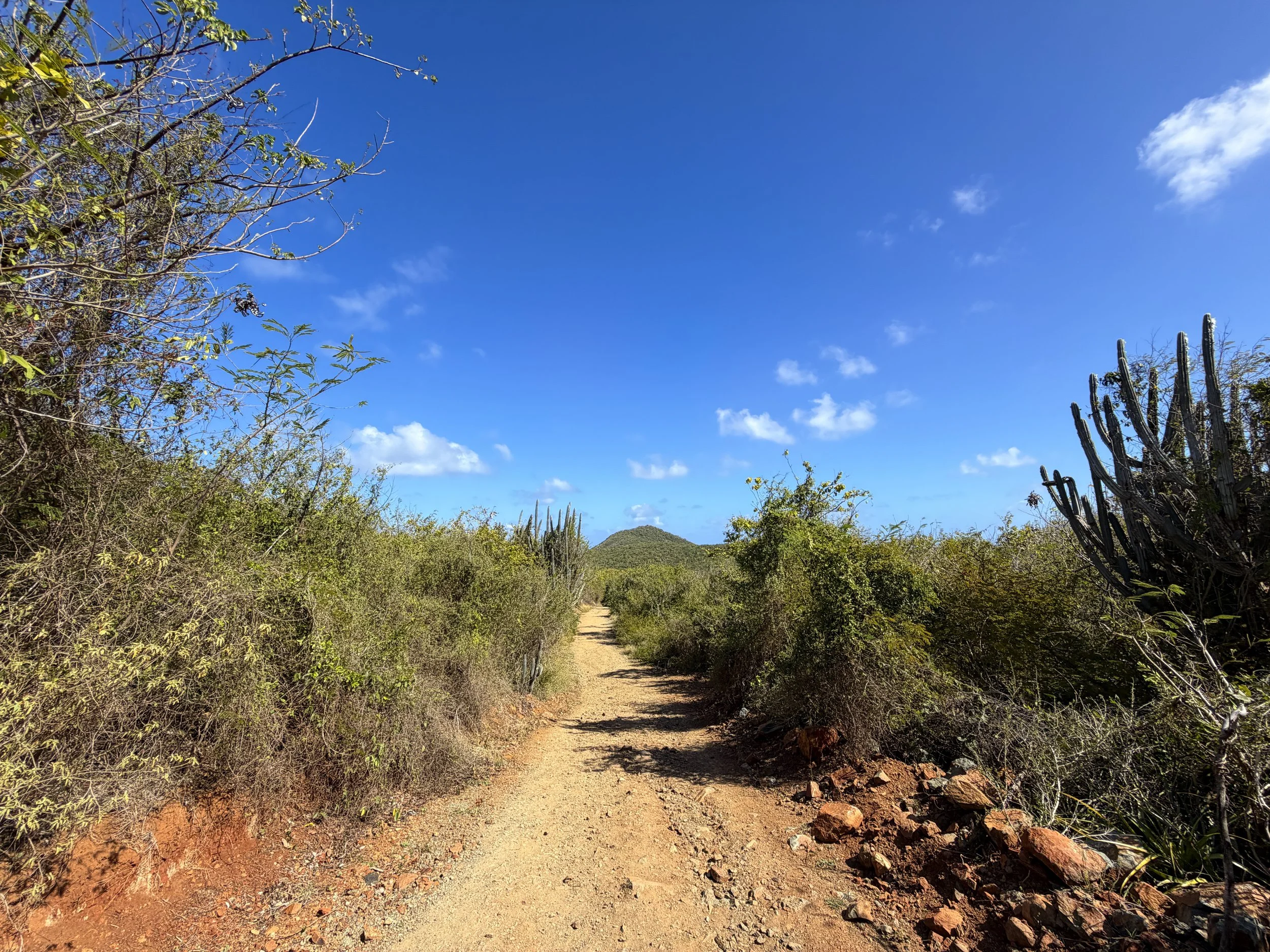 Drunk Bay Trail Virgin Islands National Park