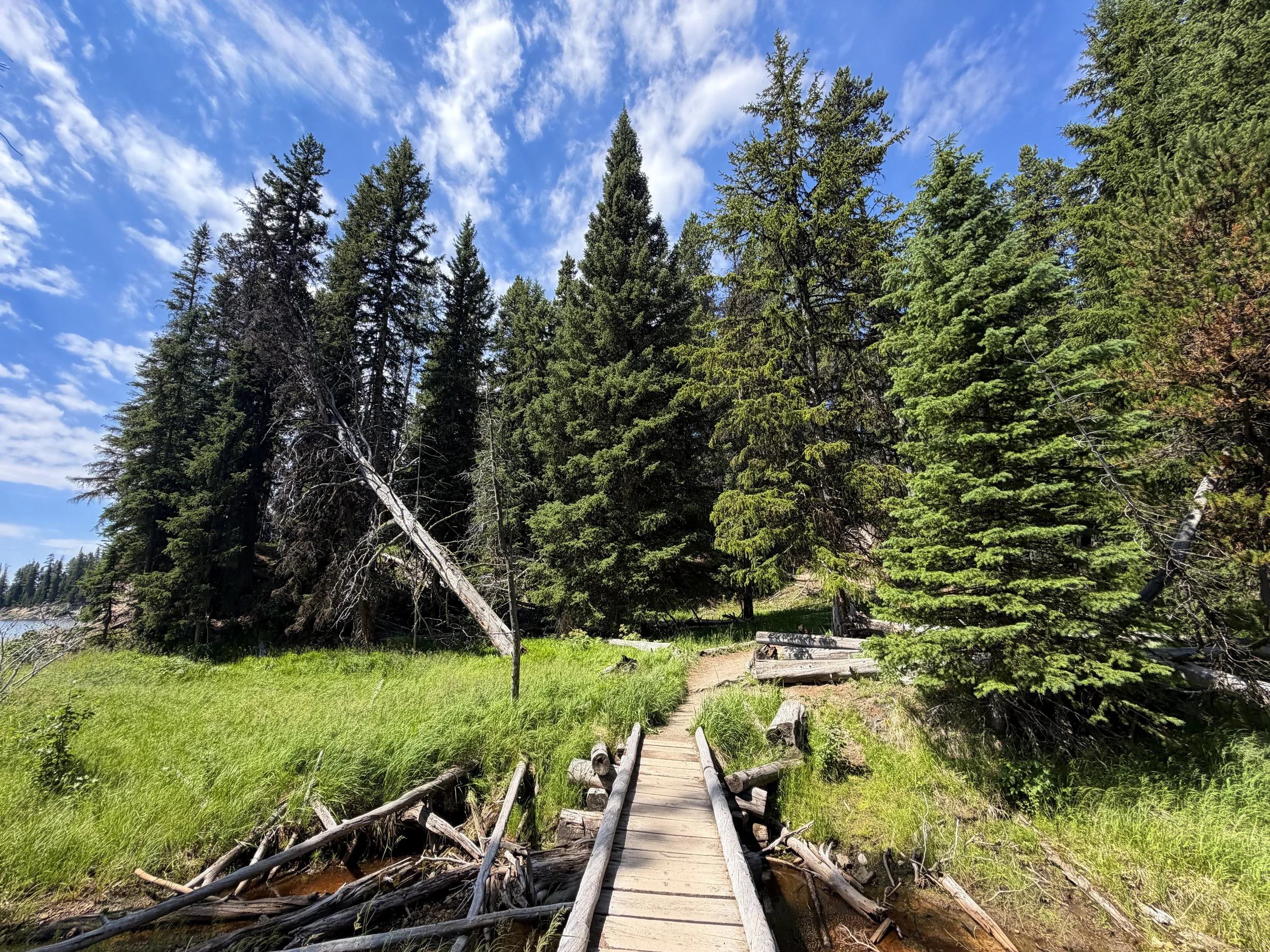 Storm Point Trail Yellowstone National Park Wyoming