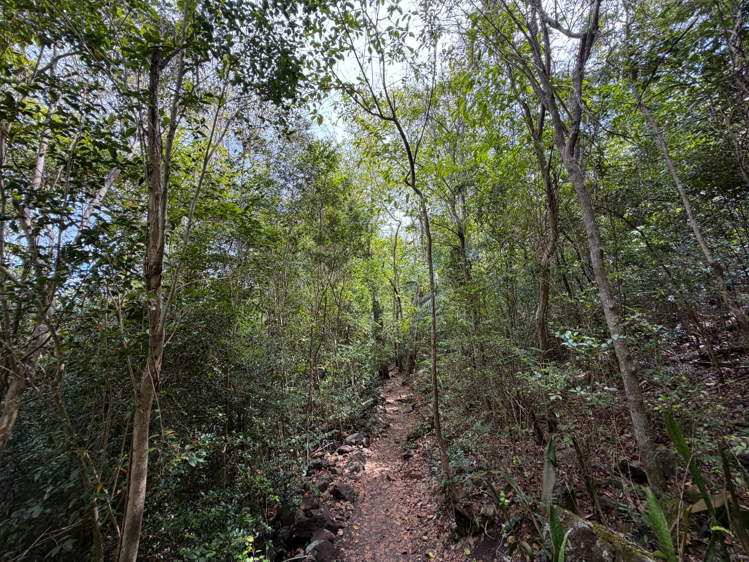 Honeymoon Beach Trail Virgin Islands National Park