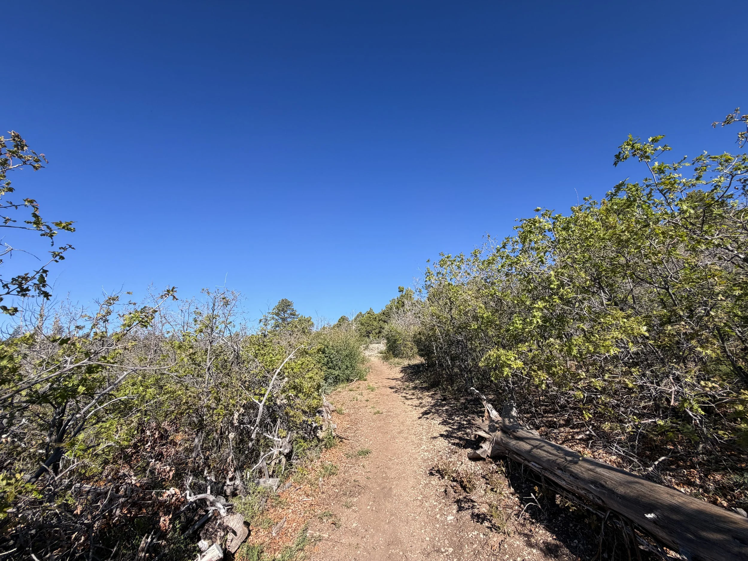 Deertrap Mountain Hike Zion National Park Utah