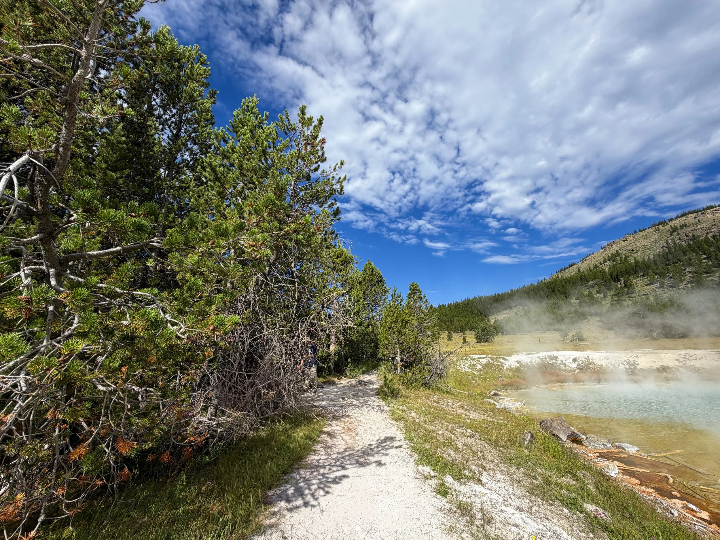Imperial Geyser via Fairy Falls Trail Yellowstone National Park Wyoming