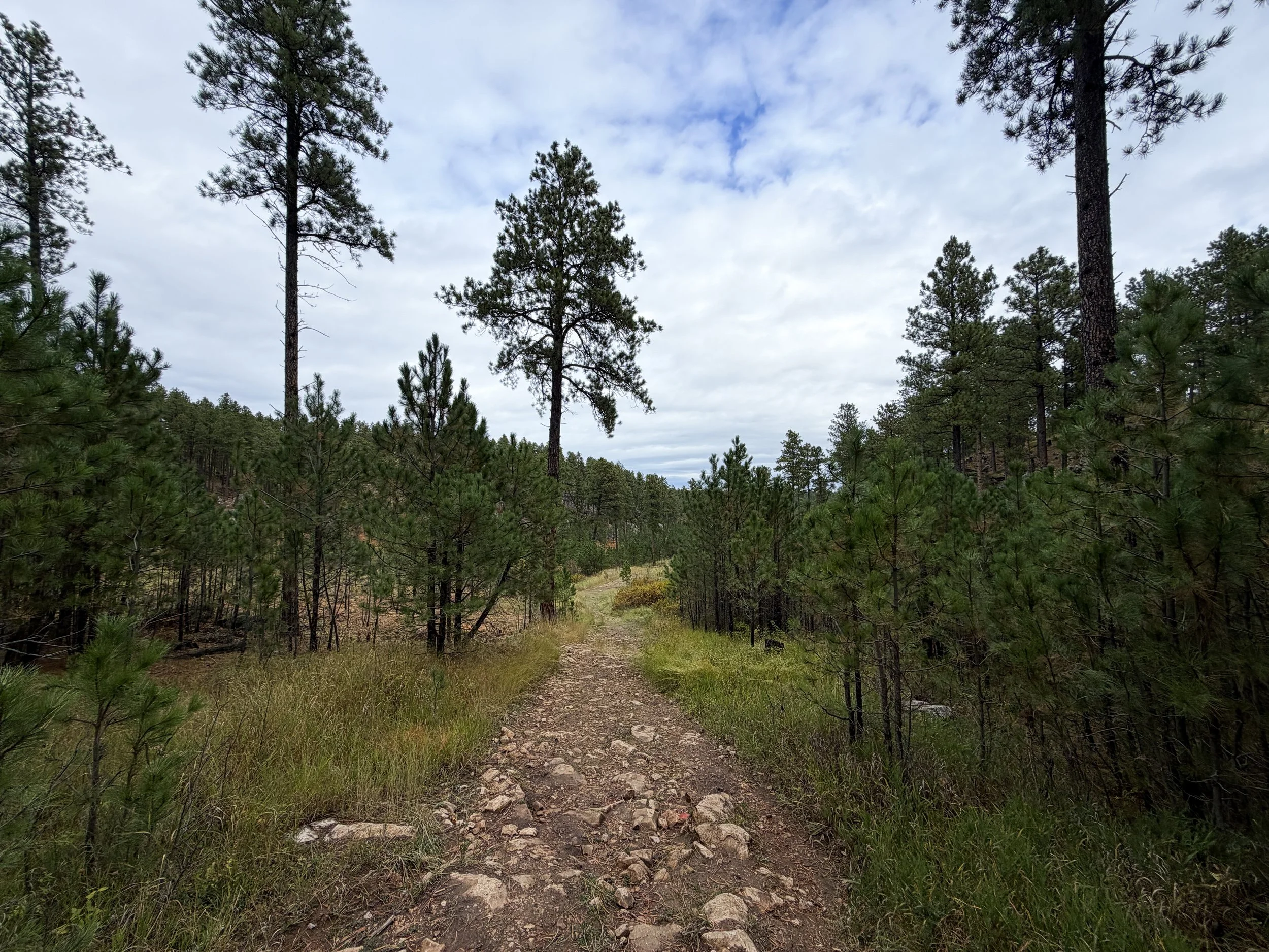 Buzzards Roost Trail Black Hills Rapid City South Dakota