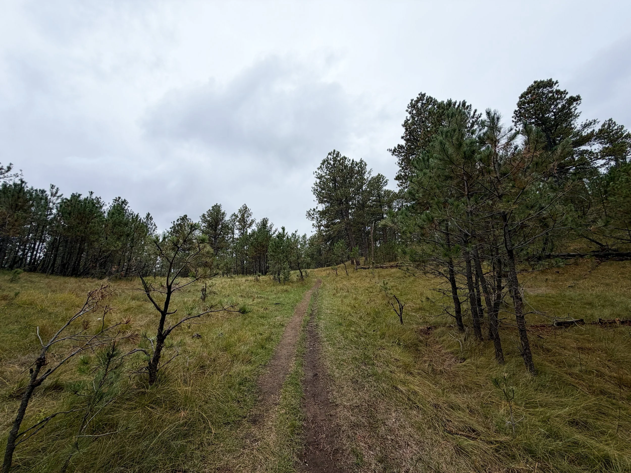 Highland Creek to Lookout Point Trail Wind Cave National Park South Dakota