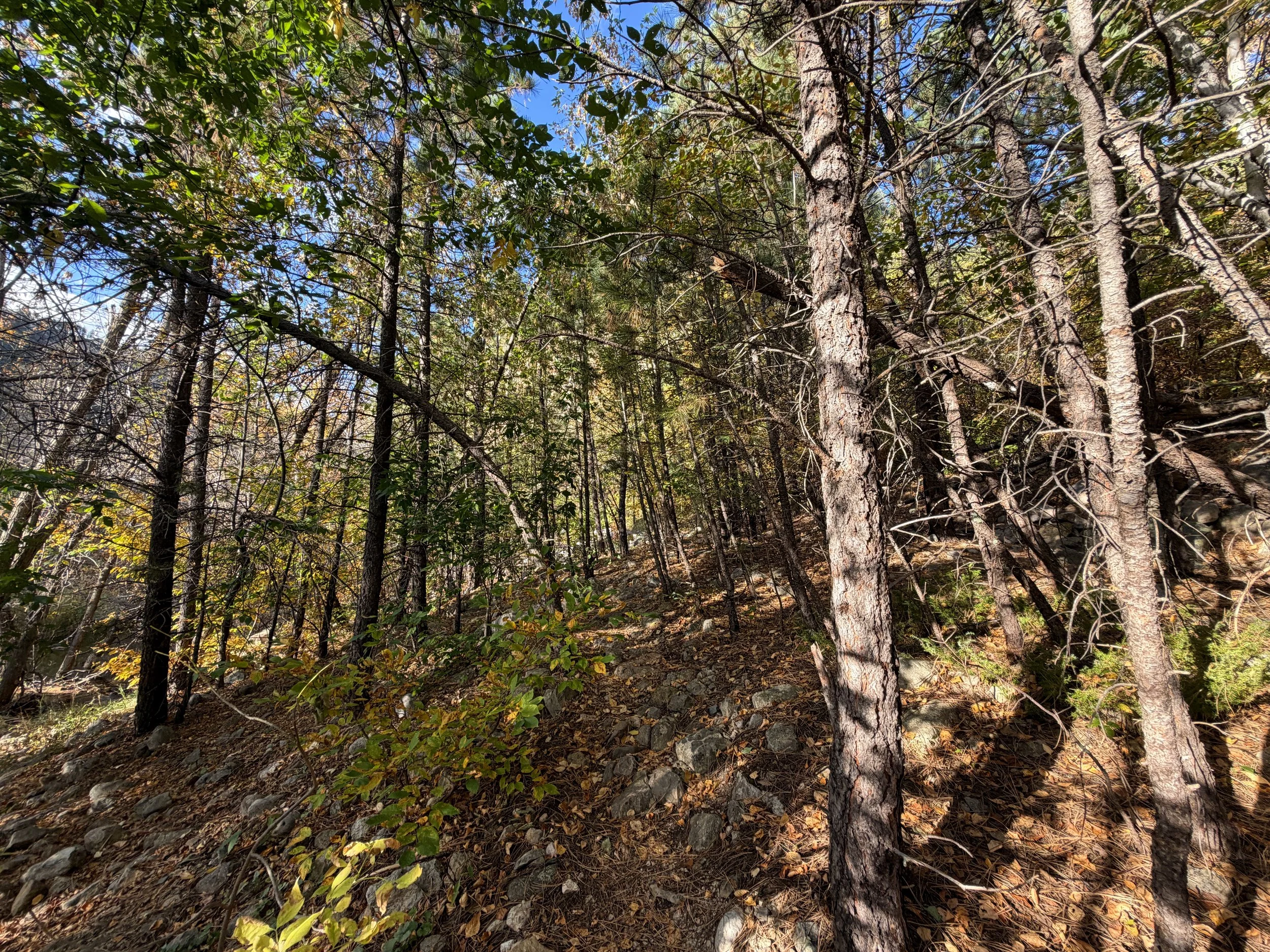 Community Caves Trail Spearfish Canyon Black Hills South Dakota