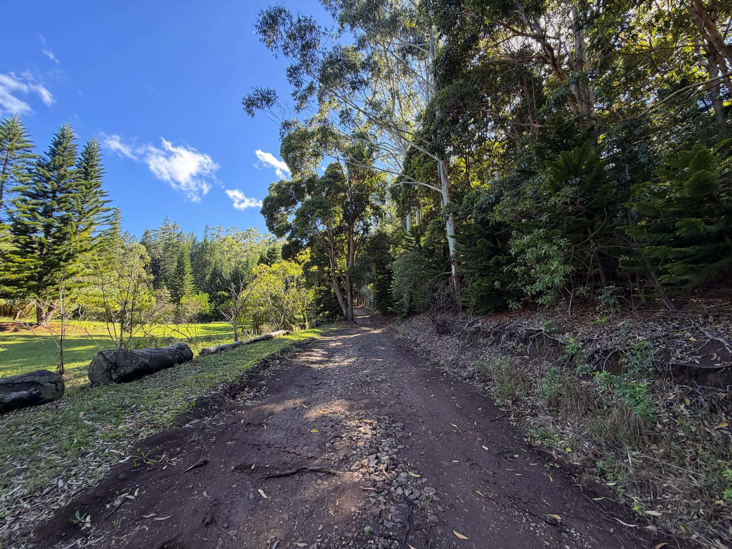 Peacock Flats to Mokuleia Trail Oahu Hawaii