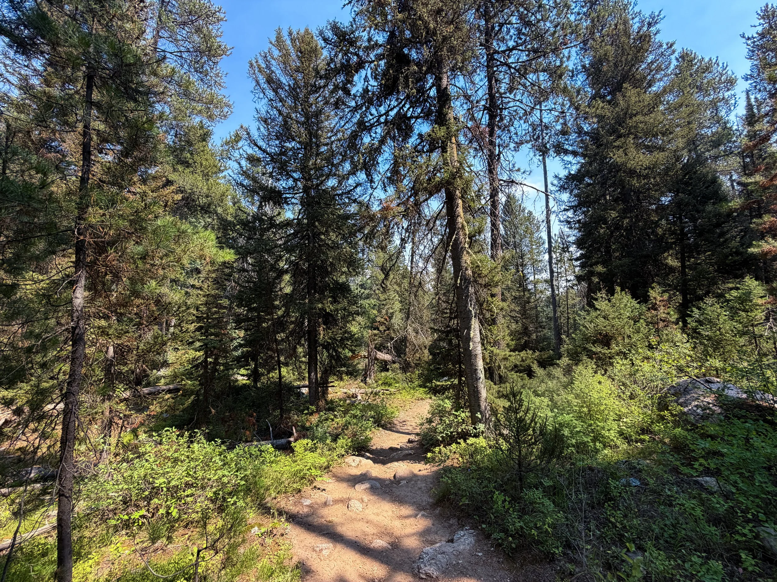 Phelps Lake Loop Trail Grand Teton National Park Wyoming