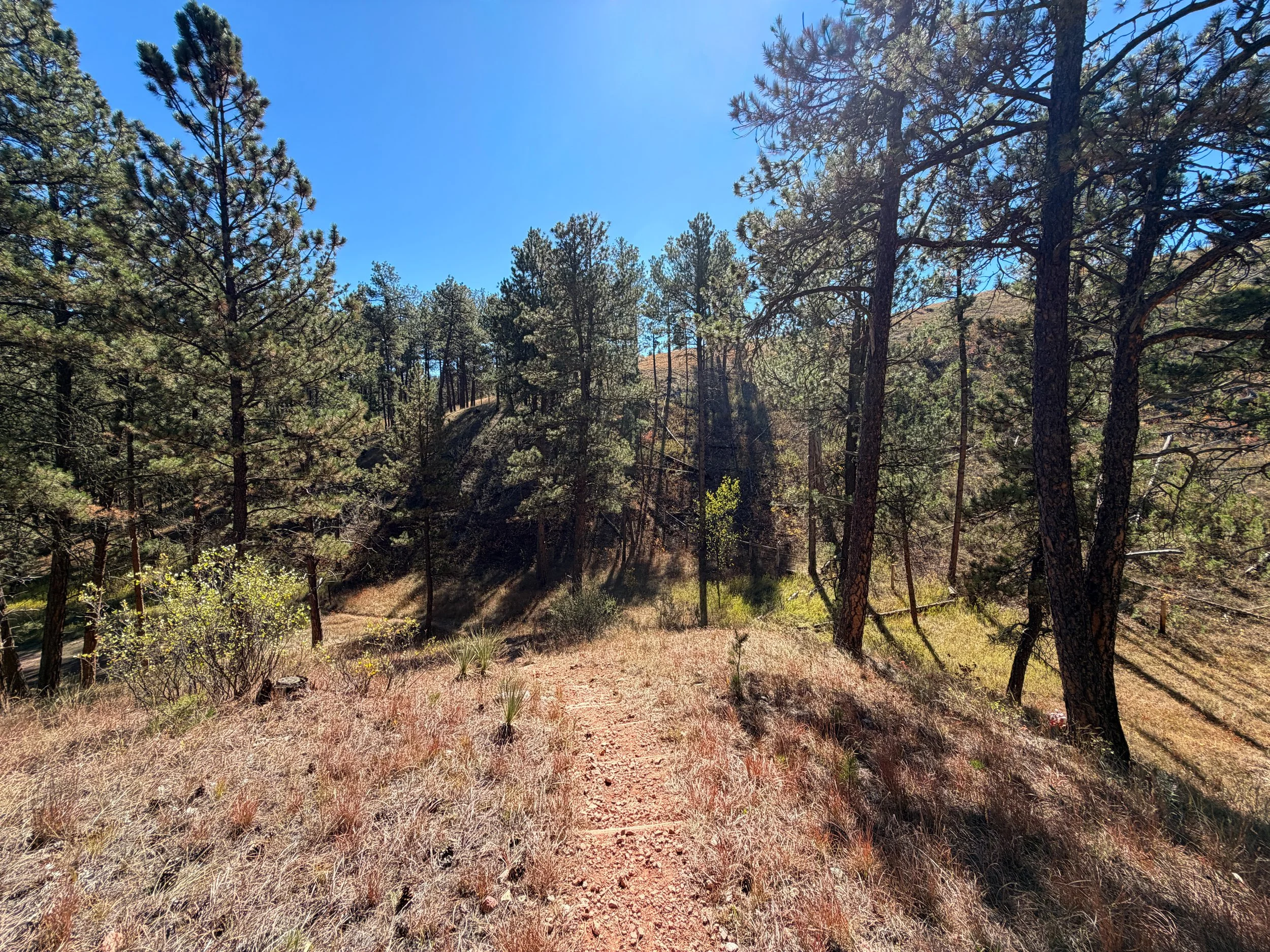 Elk Mountain Campground Trail Wind Cave National Park South Dakota