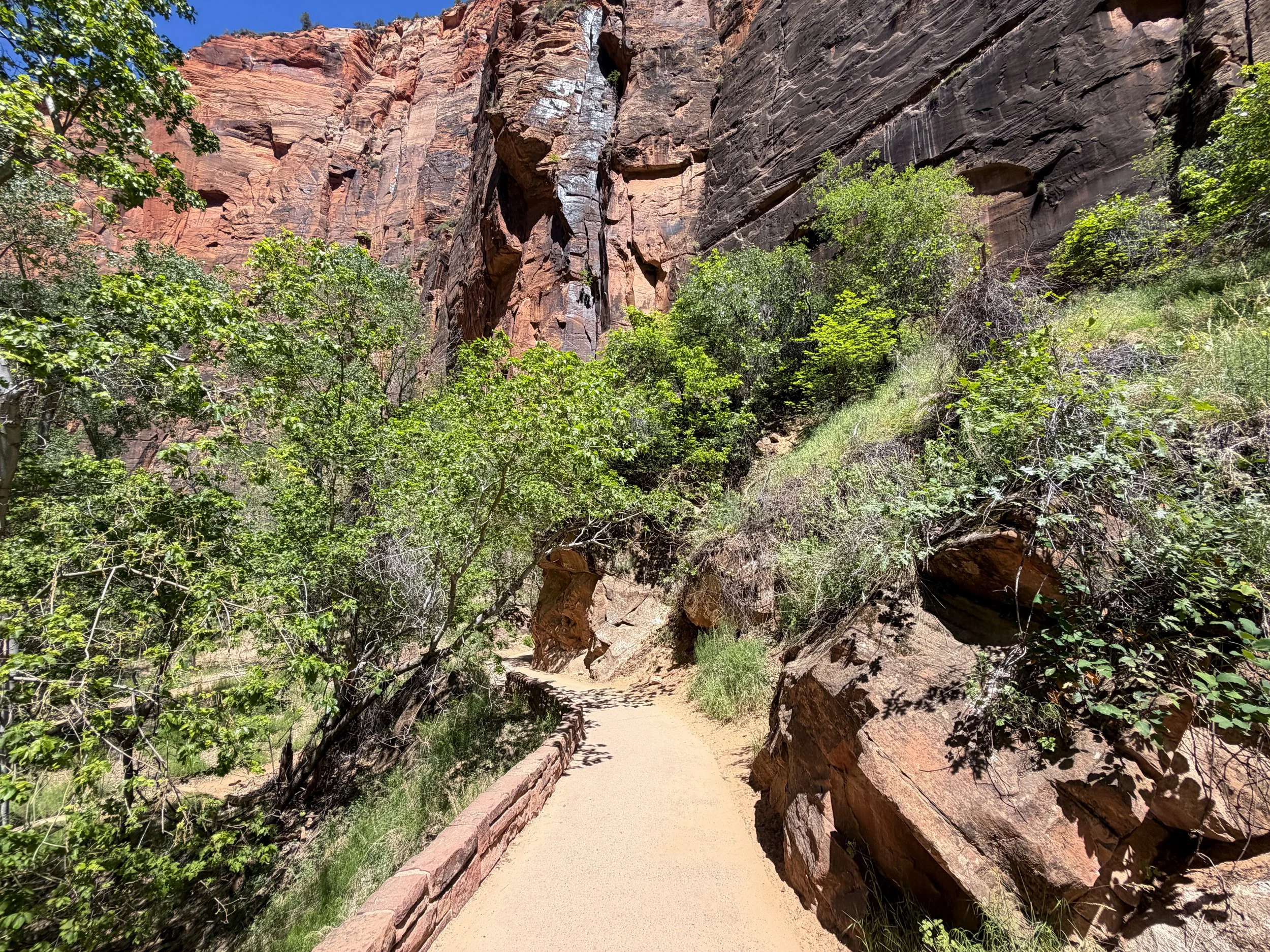 Riverside Walk Hike Zion National Park Utah