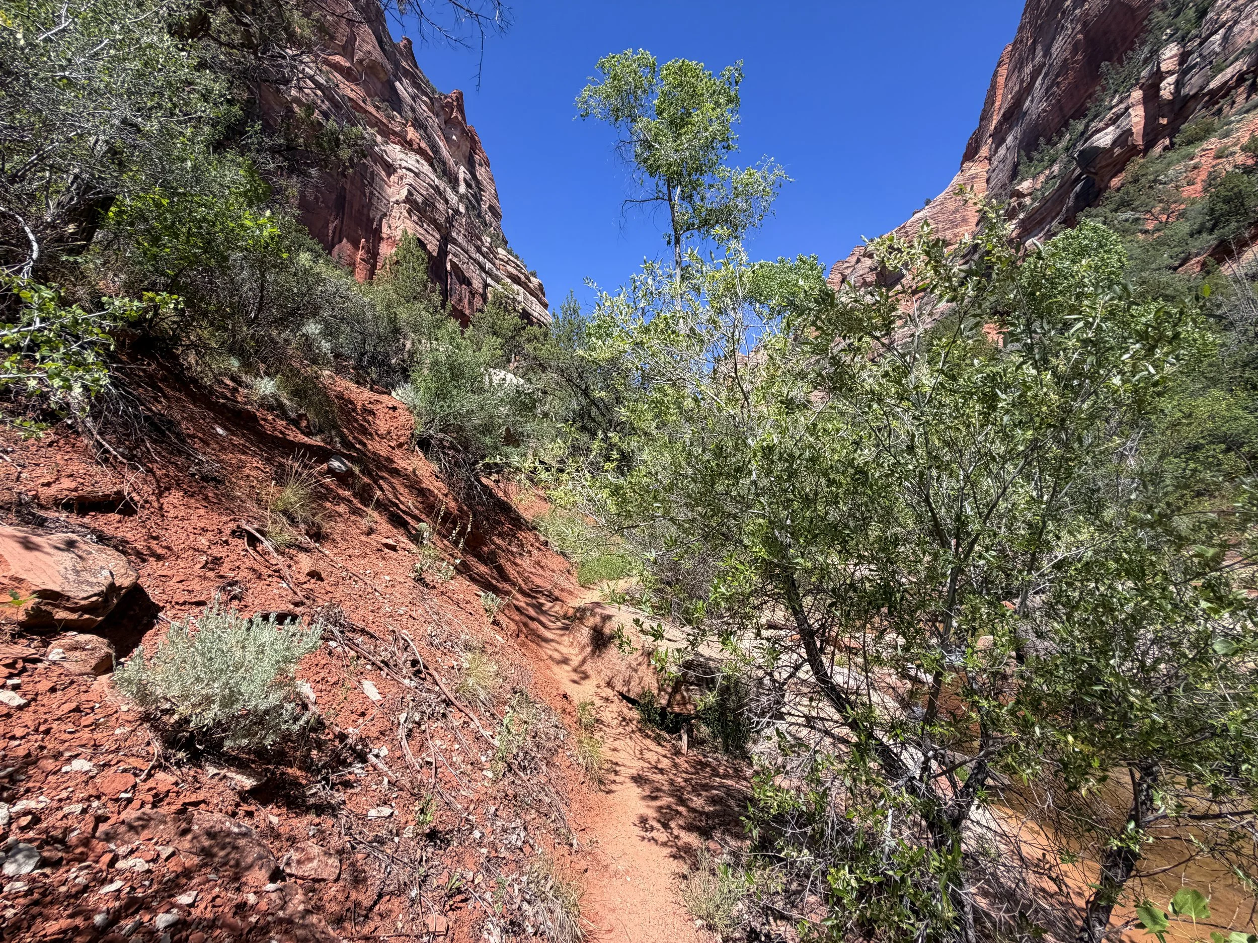 Subway Trail Zion National Park Utah