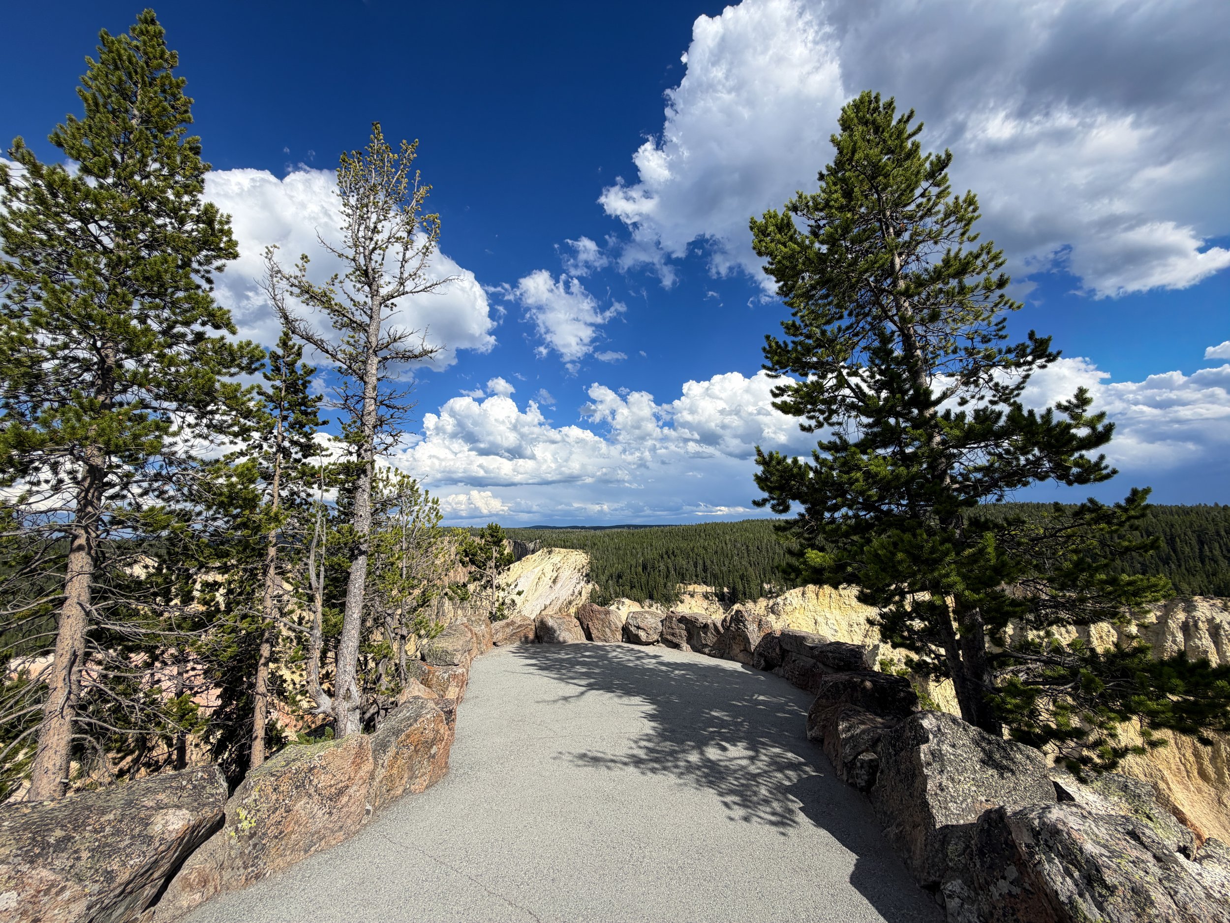 Grand View North Rim Trail Yellowstone National Park Wyoming