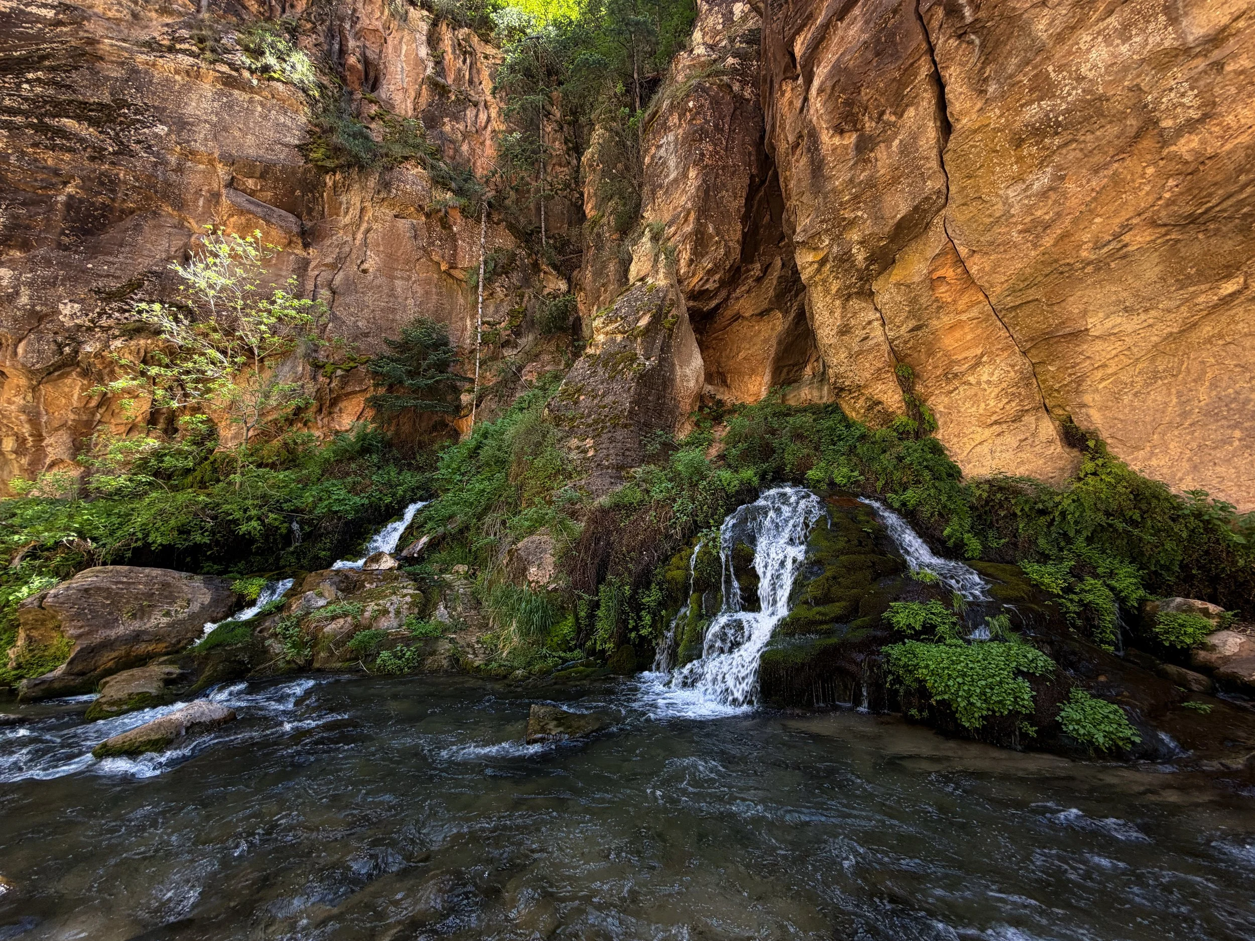 Big Springs The Narrows Zion National Park Utah