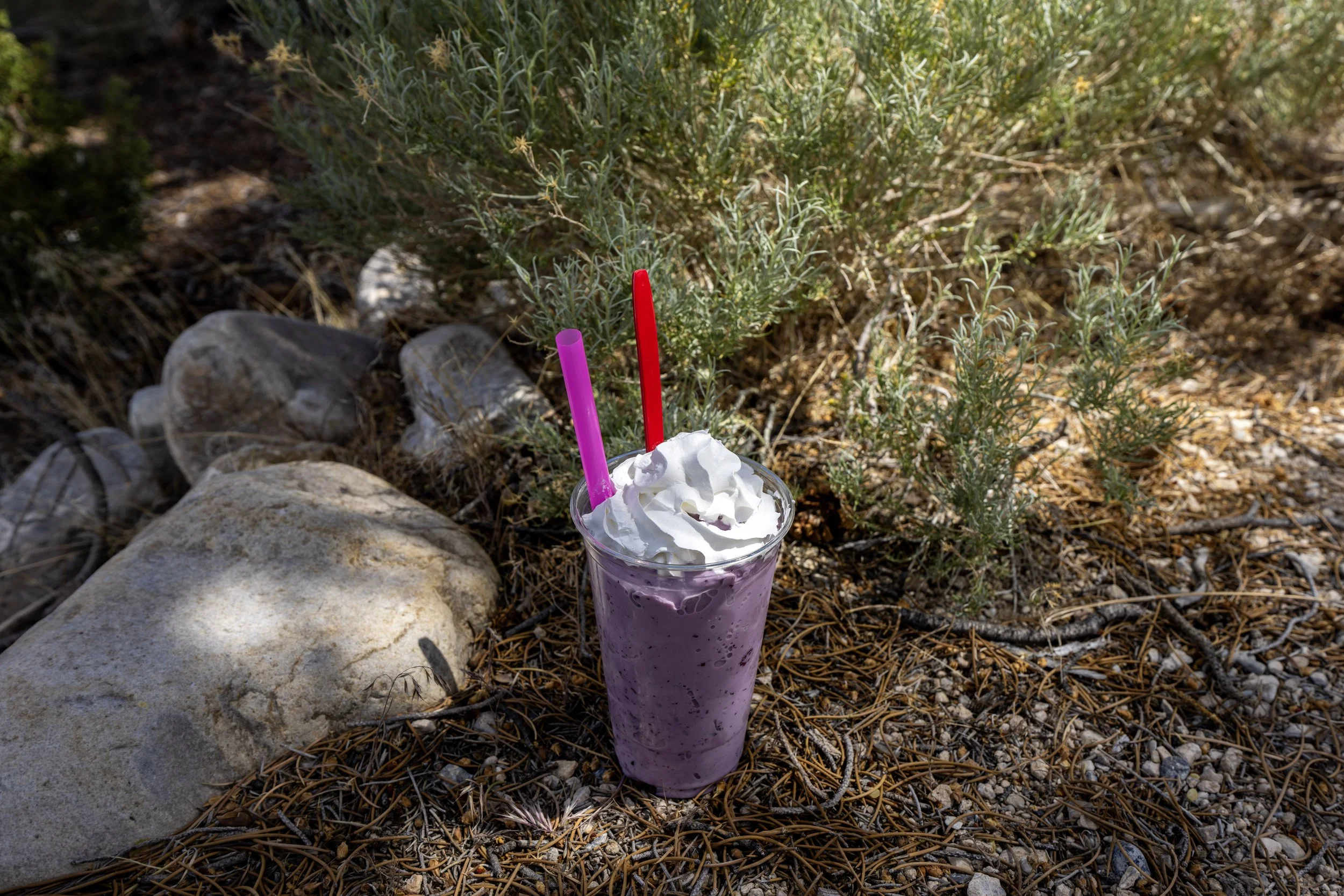 Milkshakes Great Basin Cafe Great Basin National Park